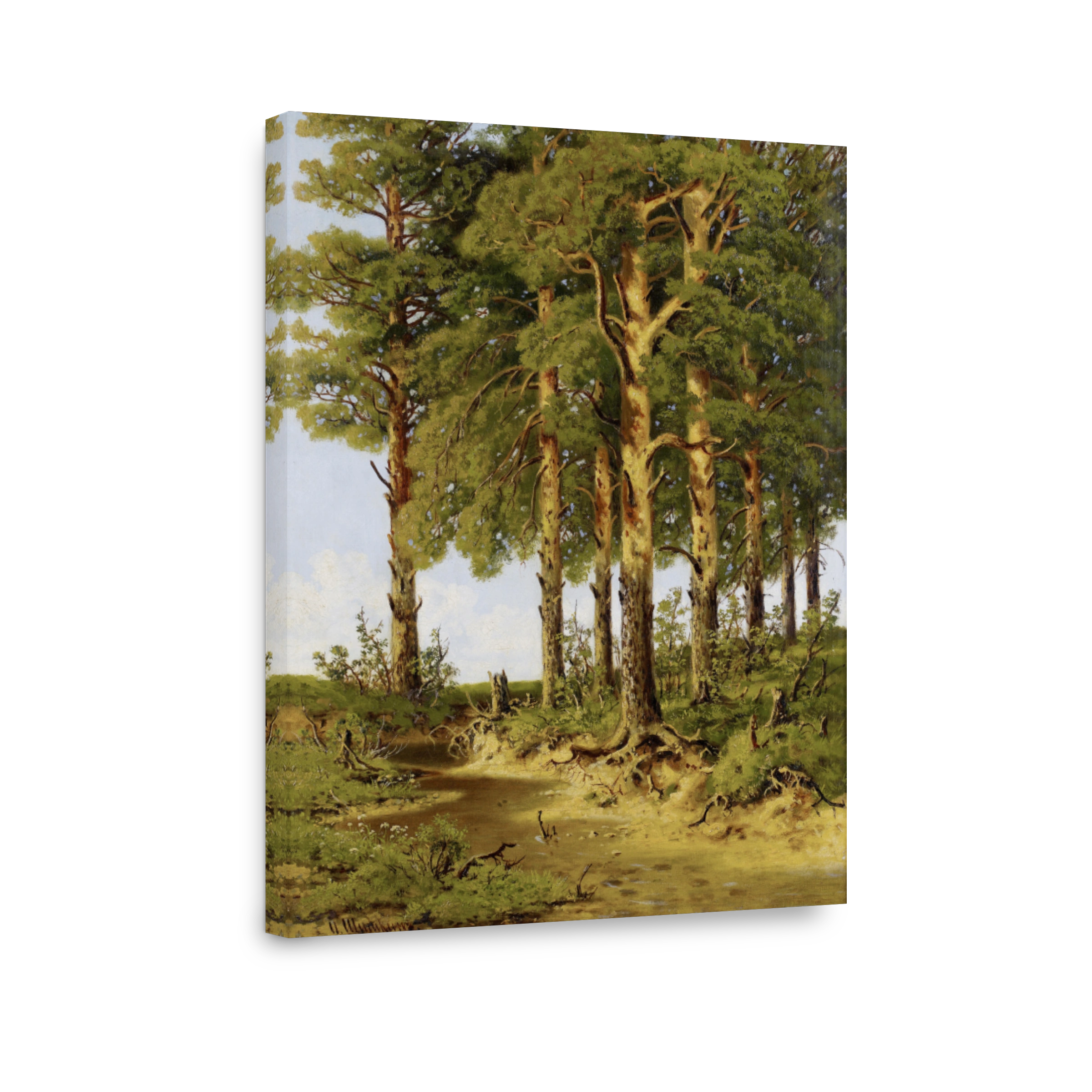 The Forest Clearing