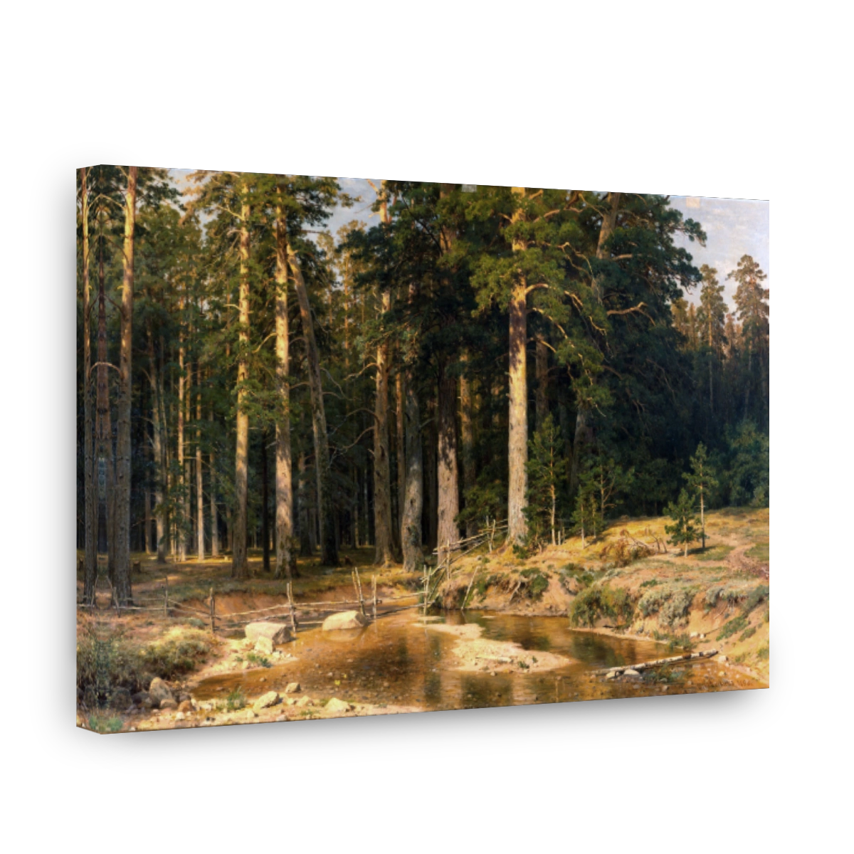 Mast Tree Grove