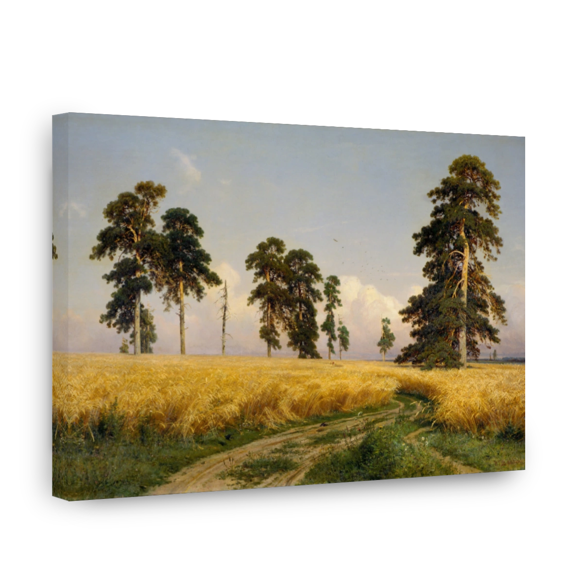 Rye; 1878