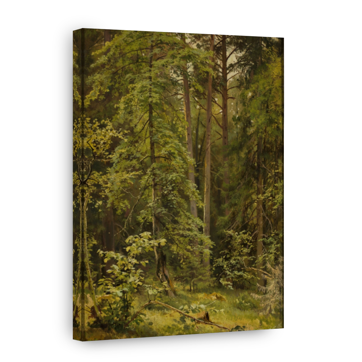 Forest_