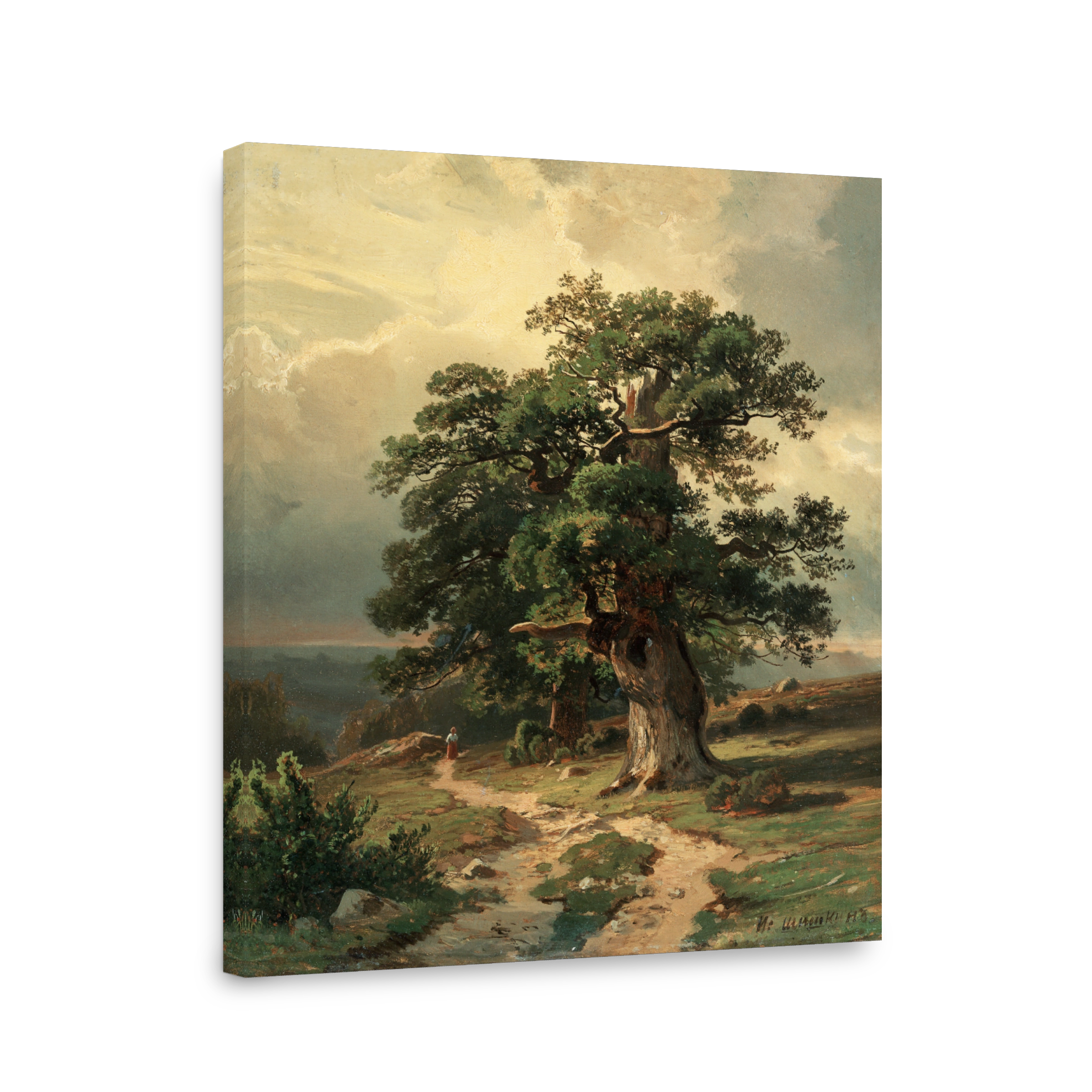 Oaks_1865