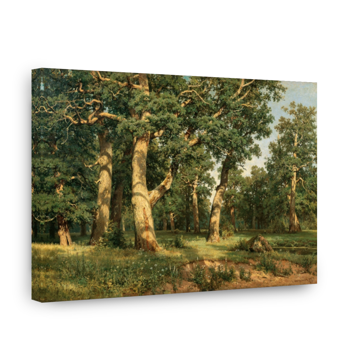 Oak Grove