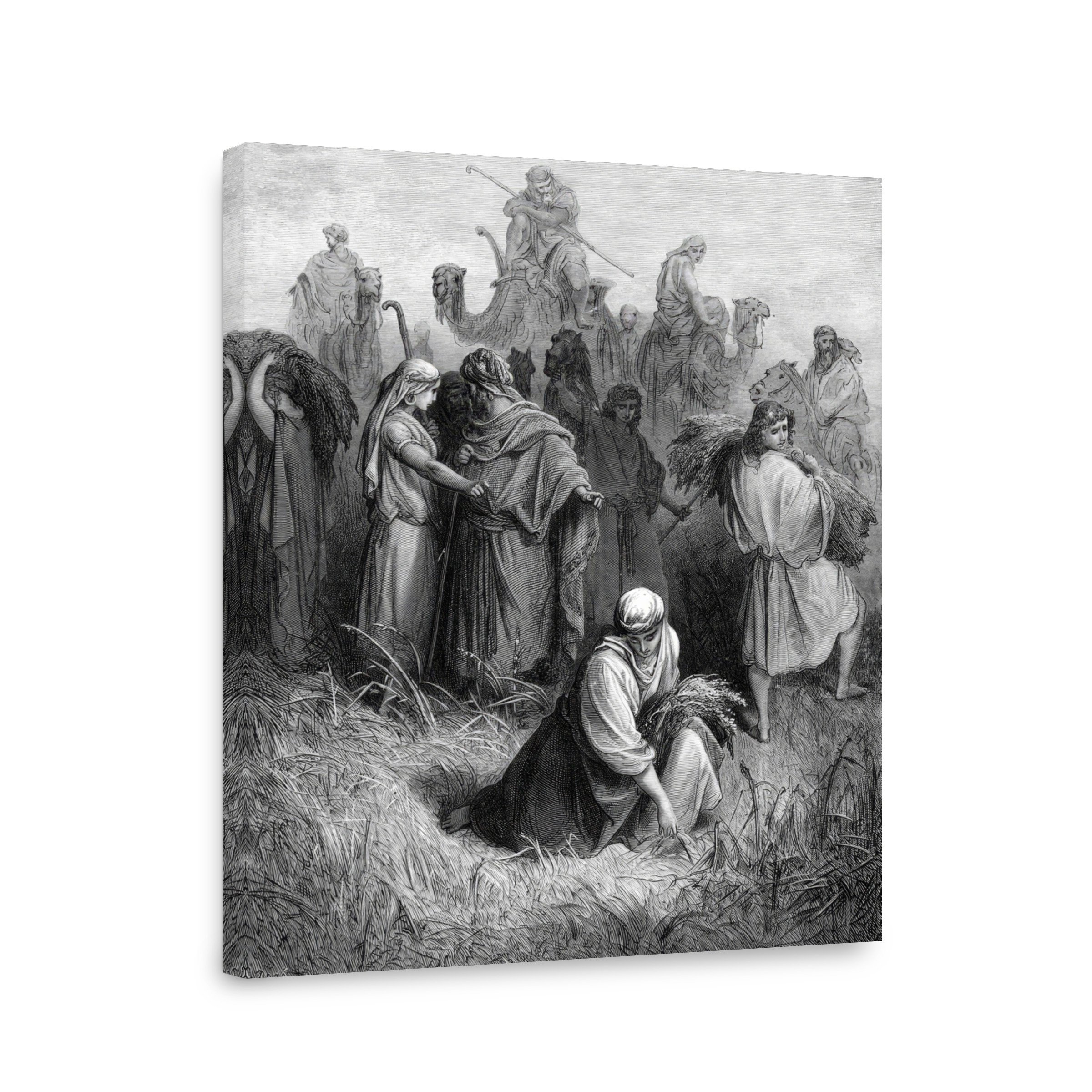 Boaz and Ruth Bible Illustration