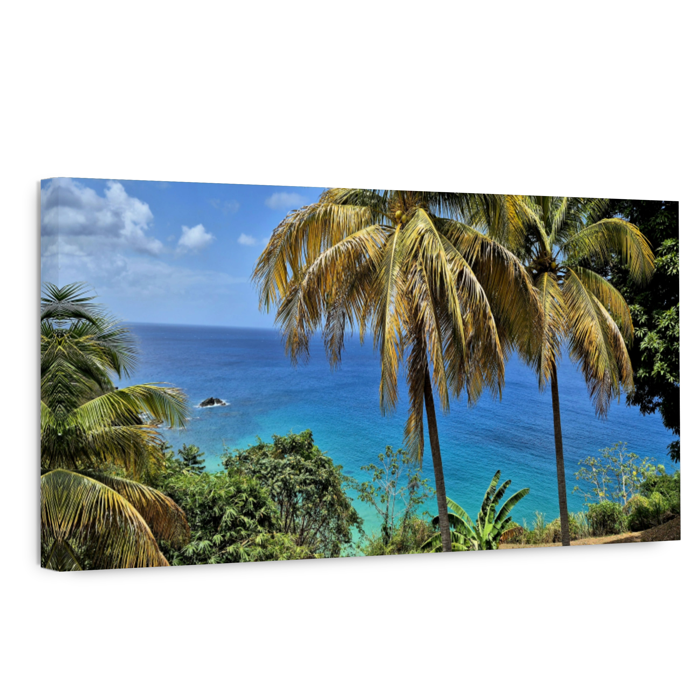 Sunny spring day in Caribbean sea island Tobago. Two palm trees and green bushes on the hill near blue green sea water. Trinidad and Tobago, Tobago, Castara.