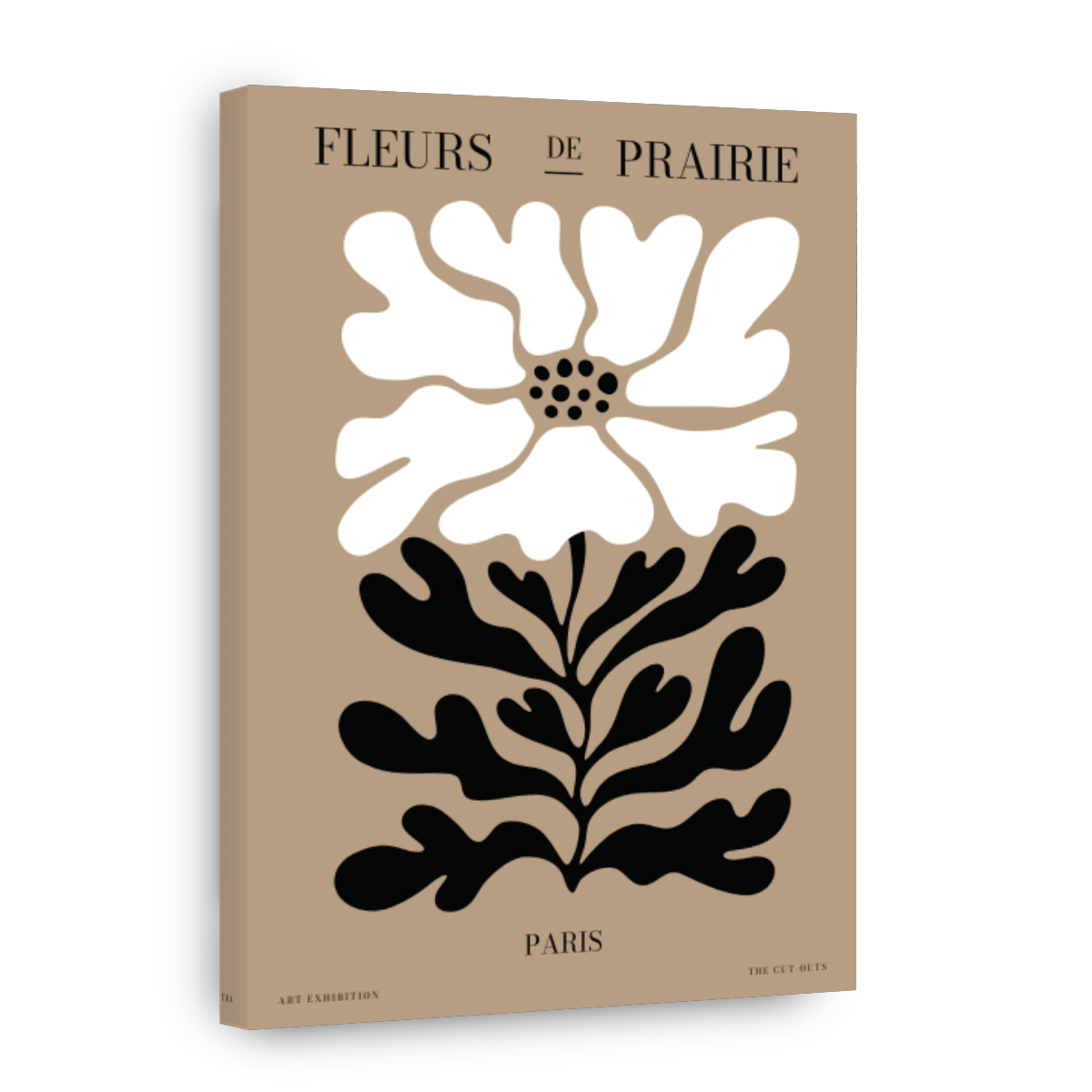 Fleurs de Prairie Paris