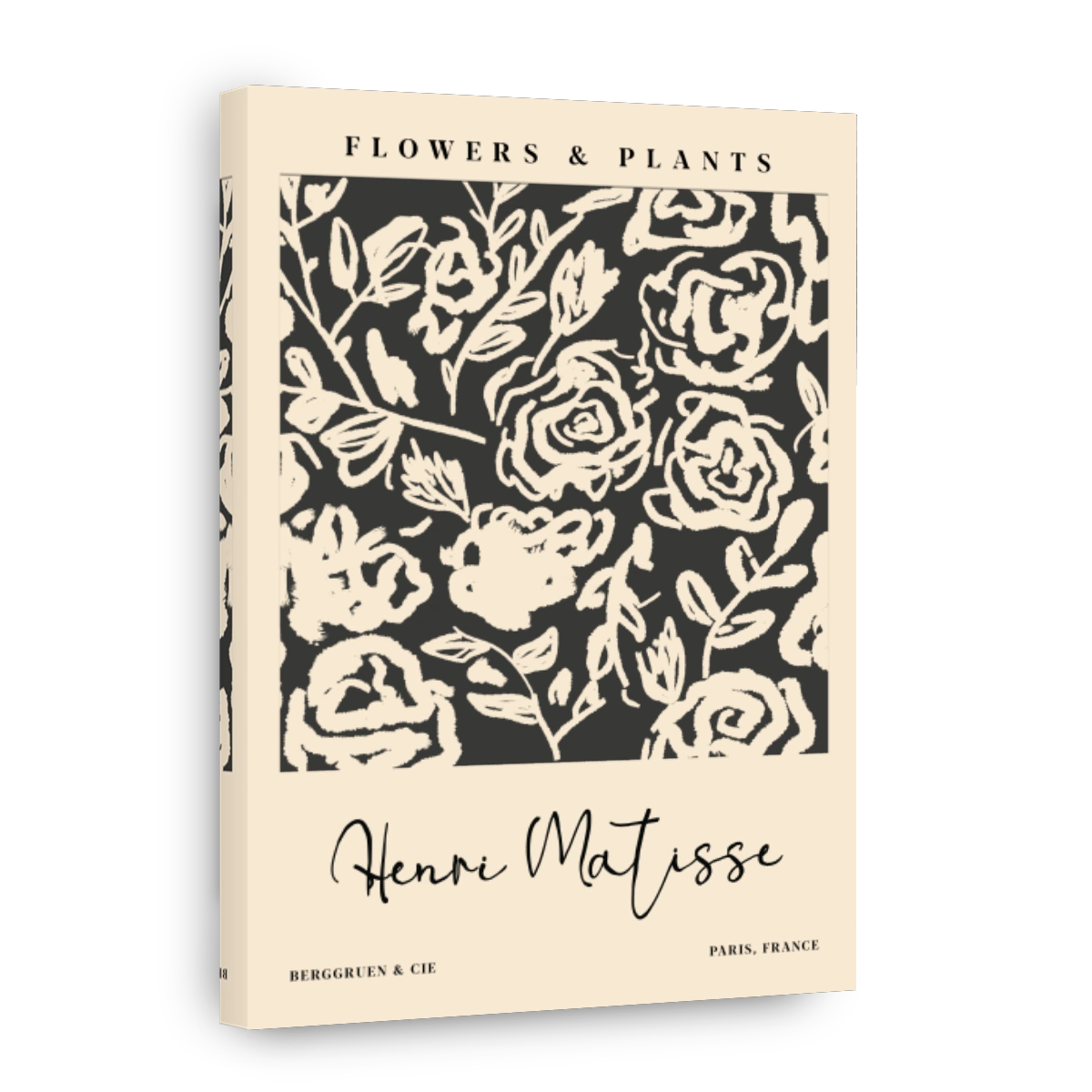 Henri Matisse - Flowers & Plants