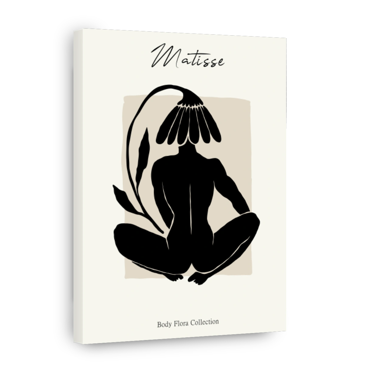 Matisse - Body Flora Collection