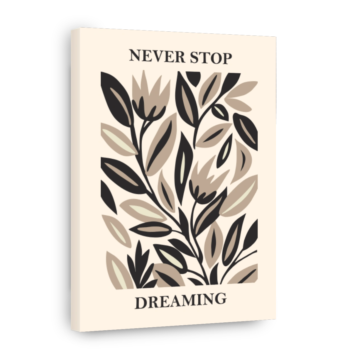 Never Stop Dreaming