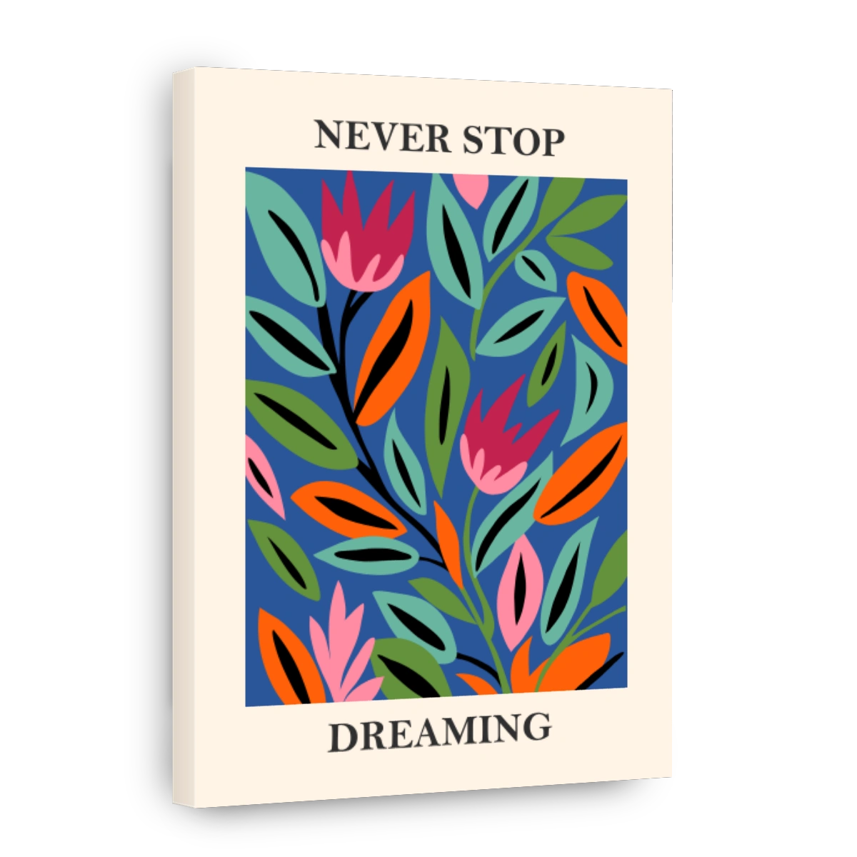 NEVER STOP DREAMING