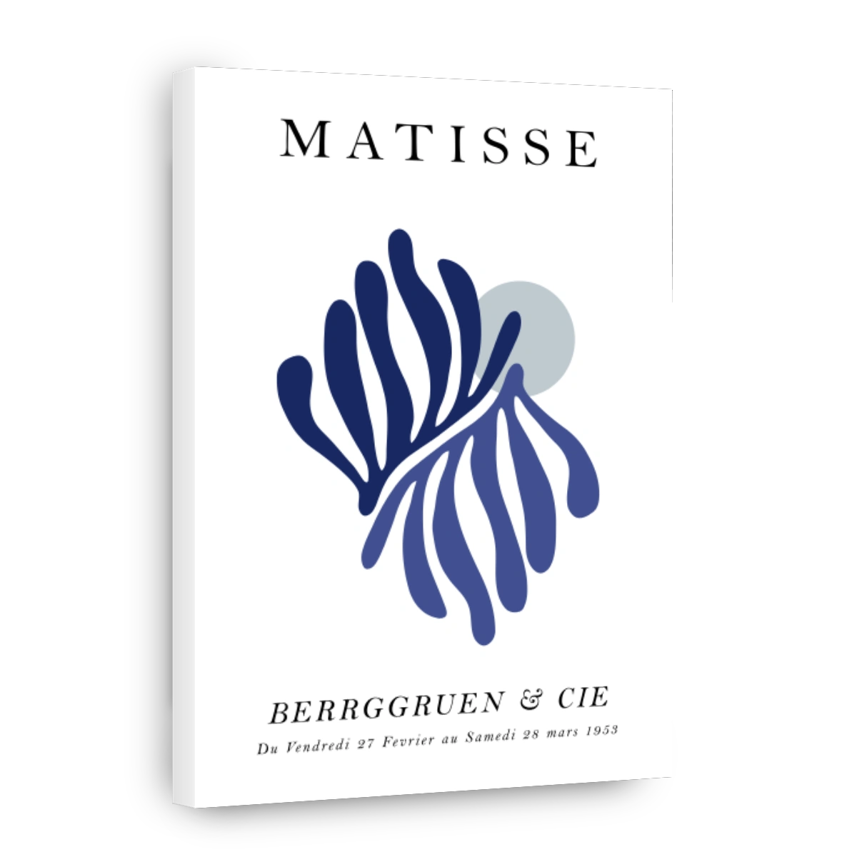 MATISSE