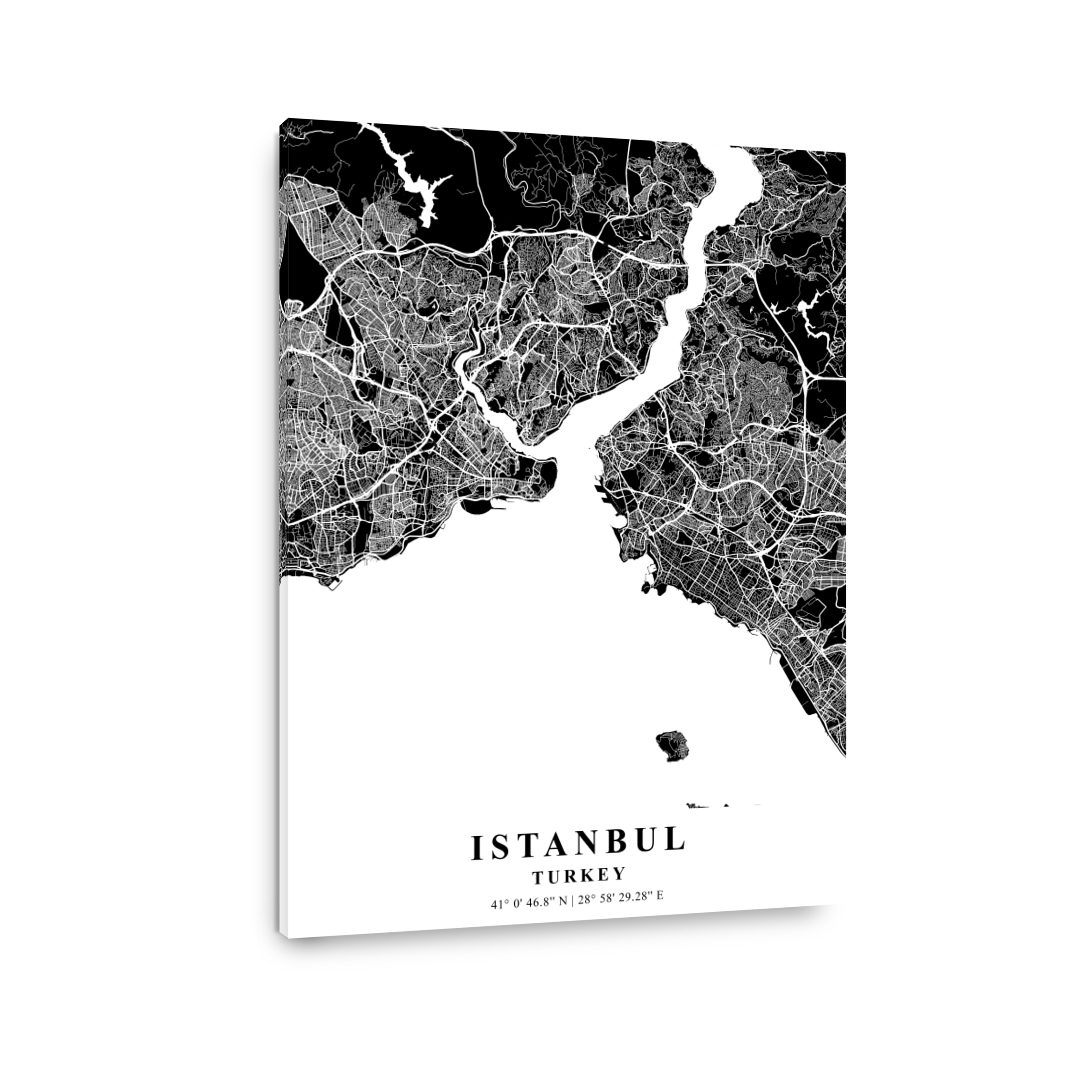 Istanbul   Turkey Black Plane Map