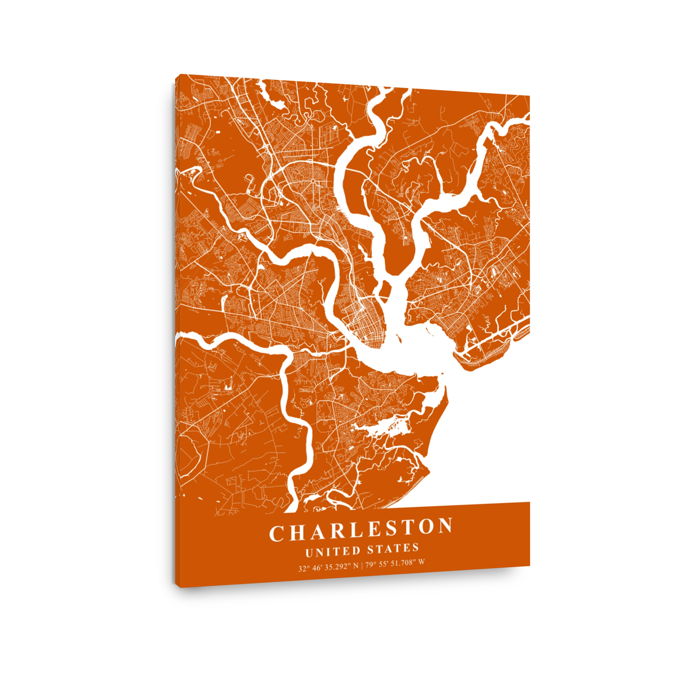 Charleston   United States Copper Plane Map