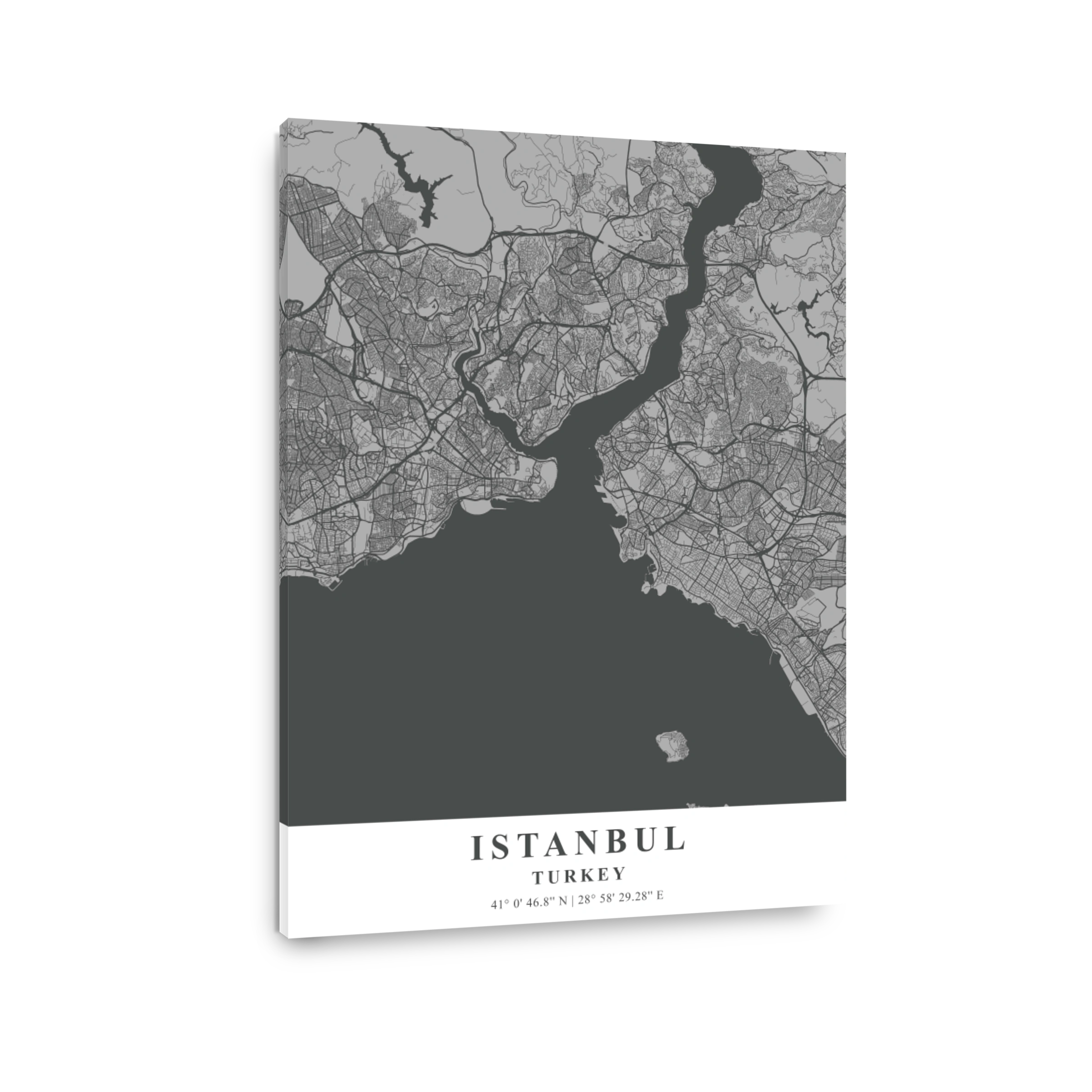 Istanbul   Turkey Gray Plane Map