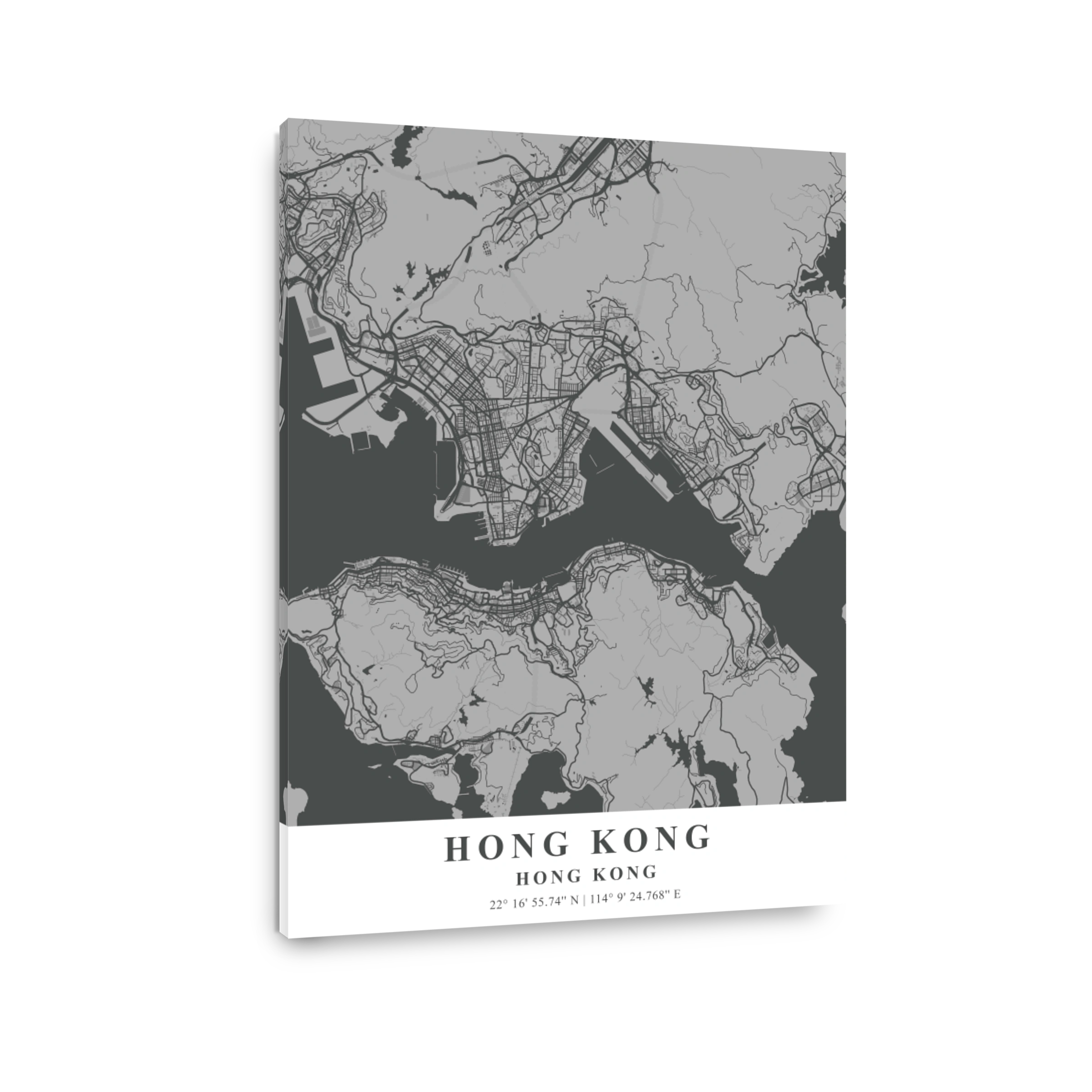 Hong Kong   Hong Kong Gray Plane Map