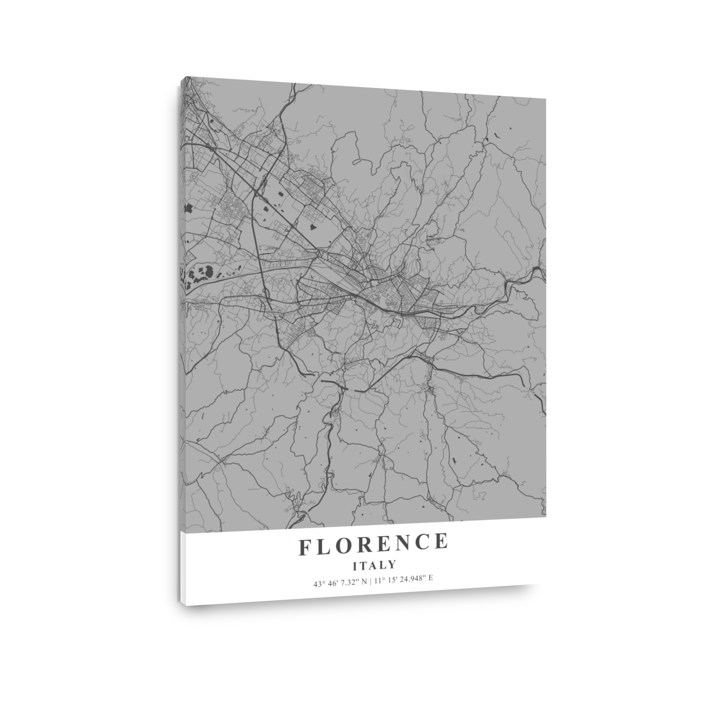 Florence   Italy Gray Plane Map
