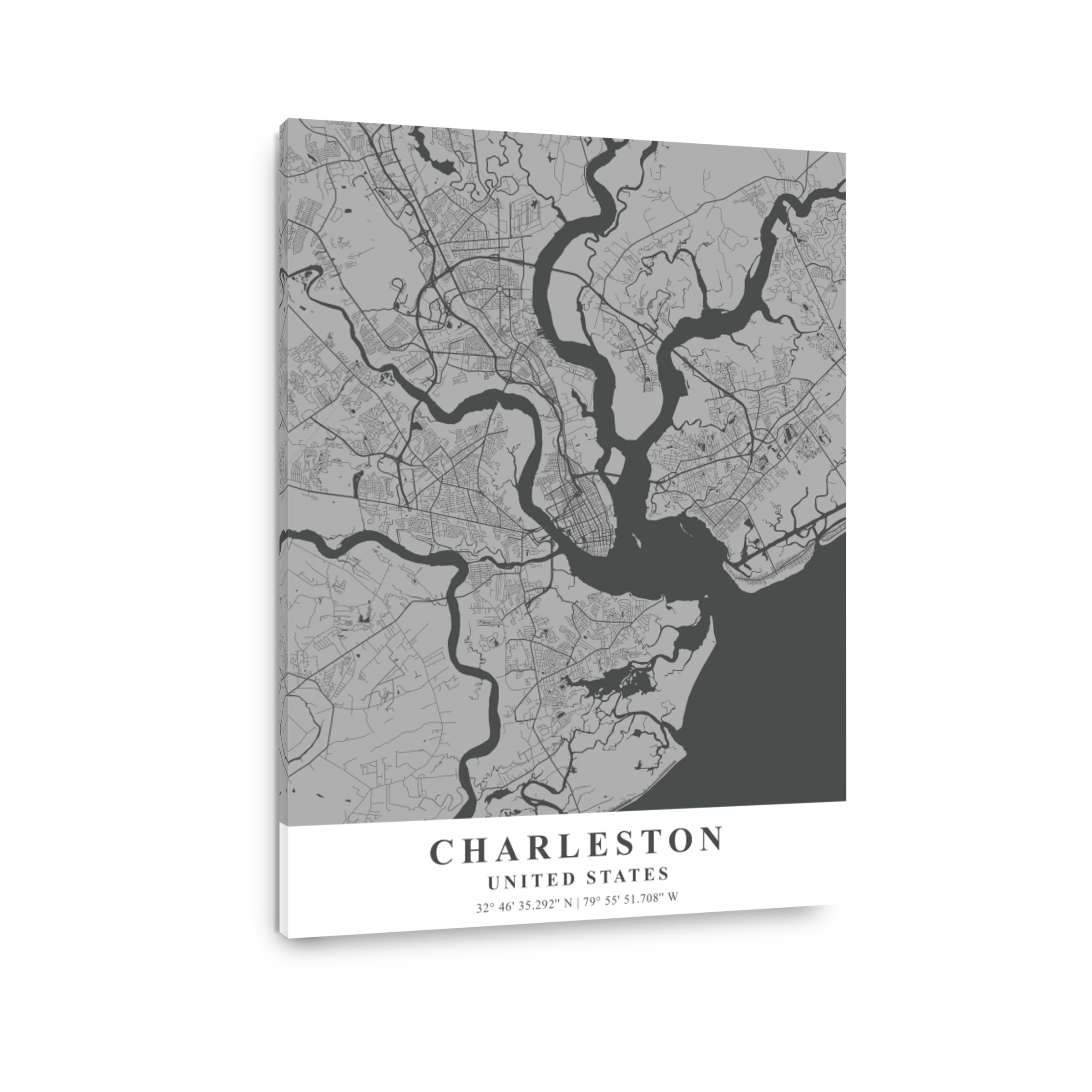 Charleston   United States Gray Plane Map