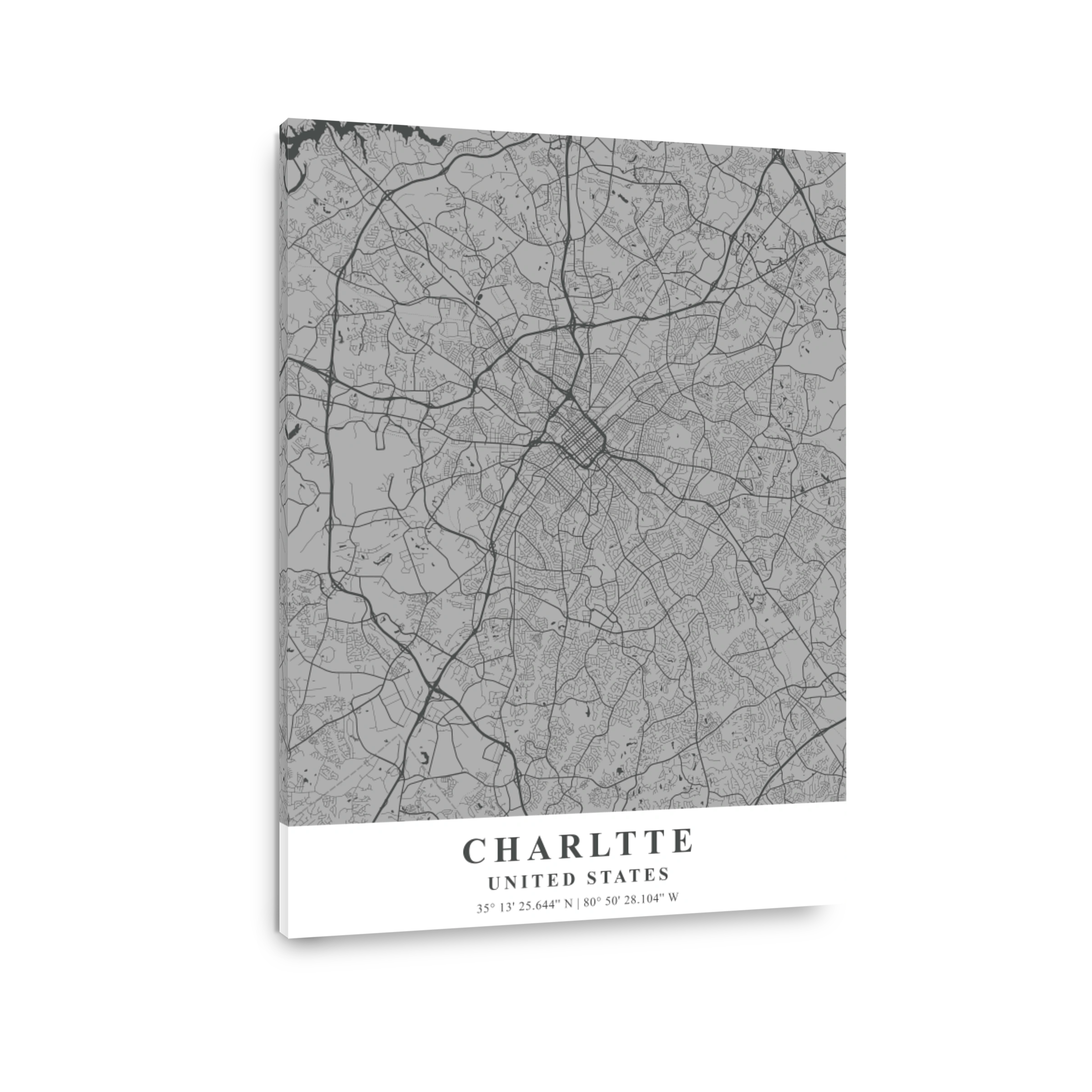 Charlotte   United States Gray Plane Map