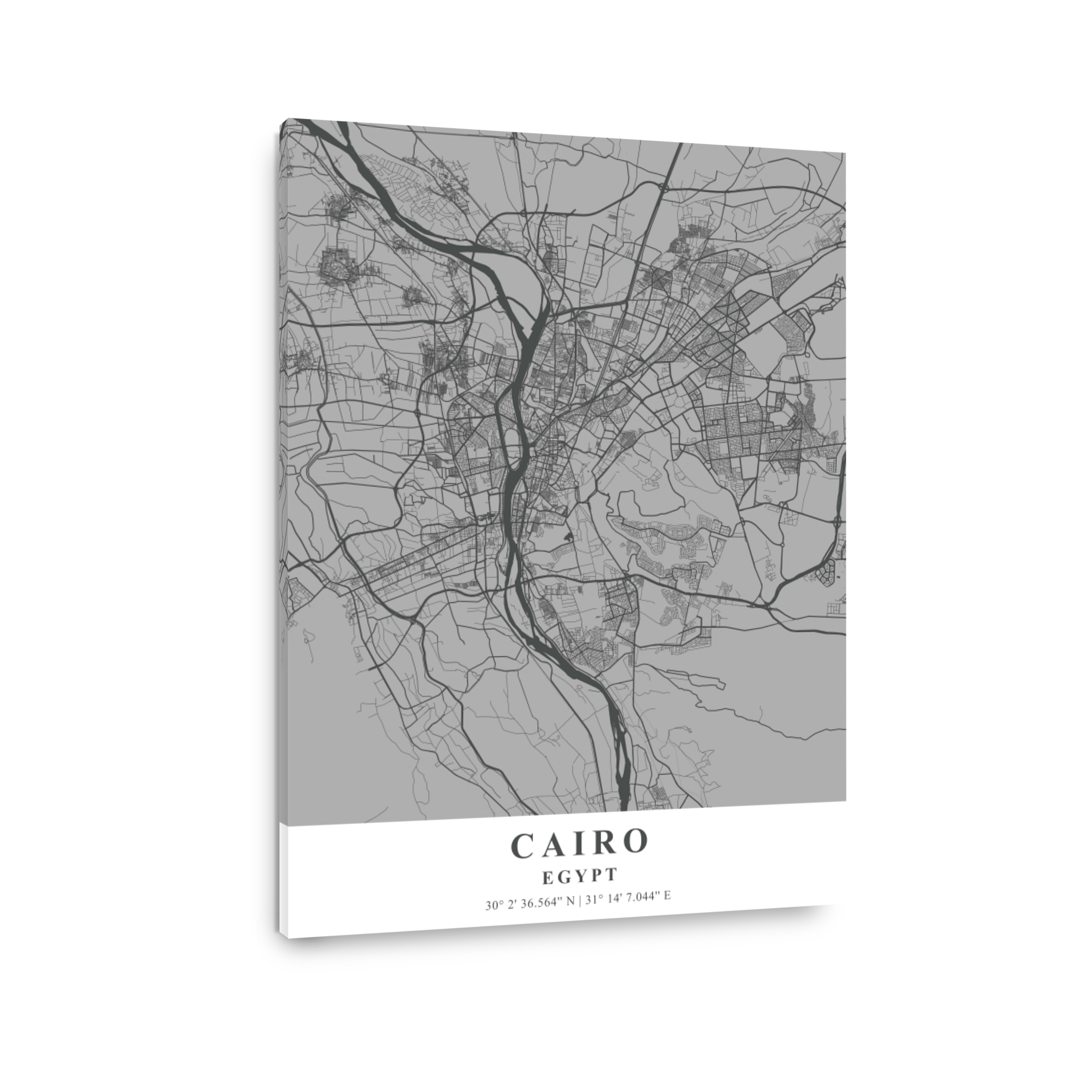 Cairo   Egypt Gray Plane Map