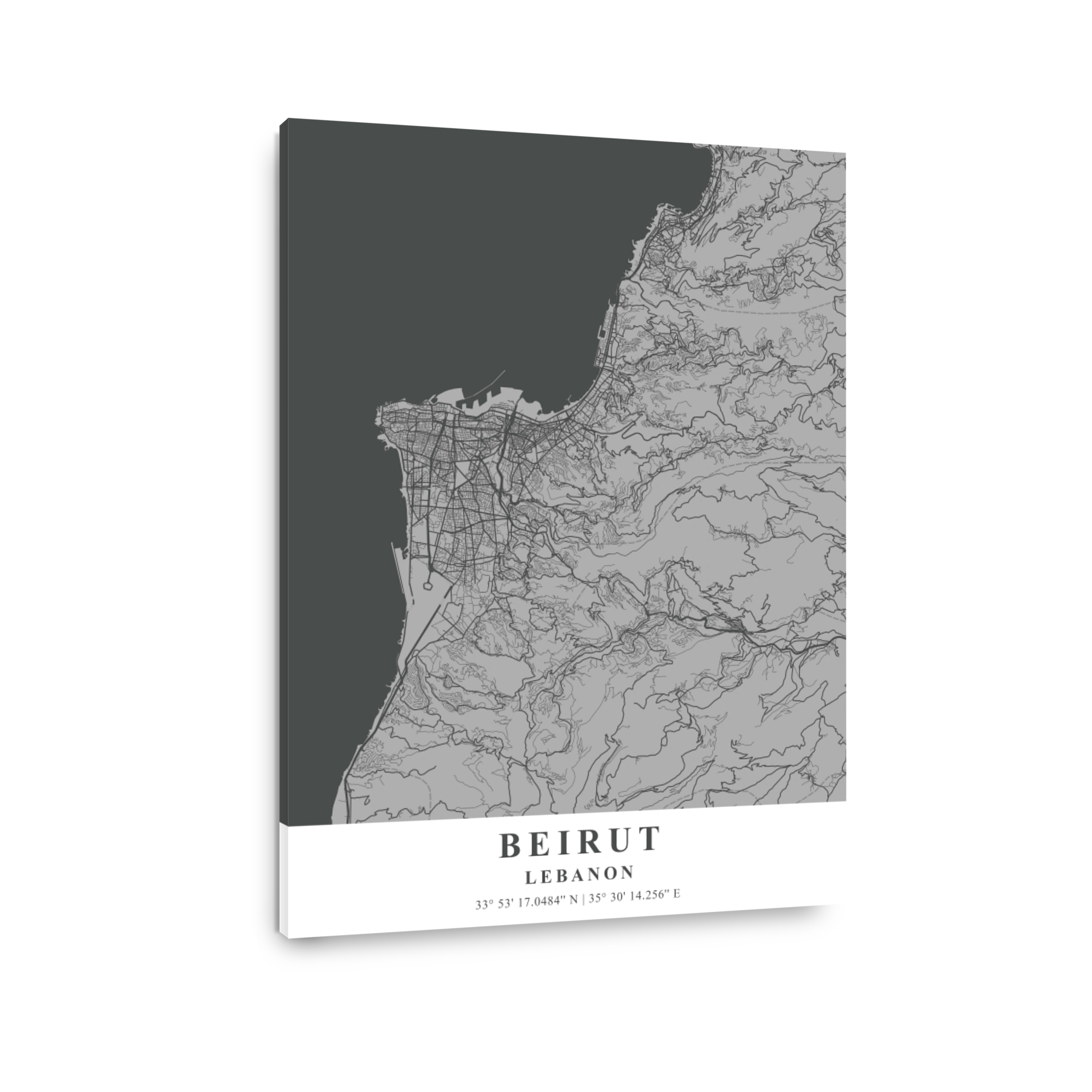 Beirut   Lebanon Gray Plane Map