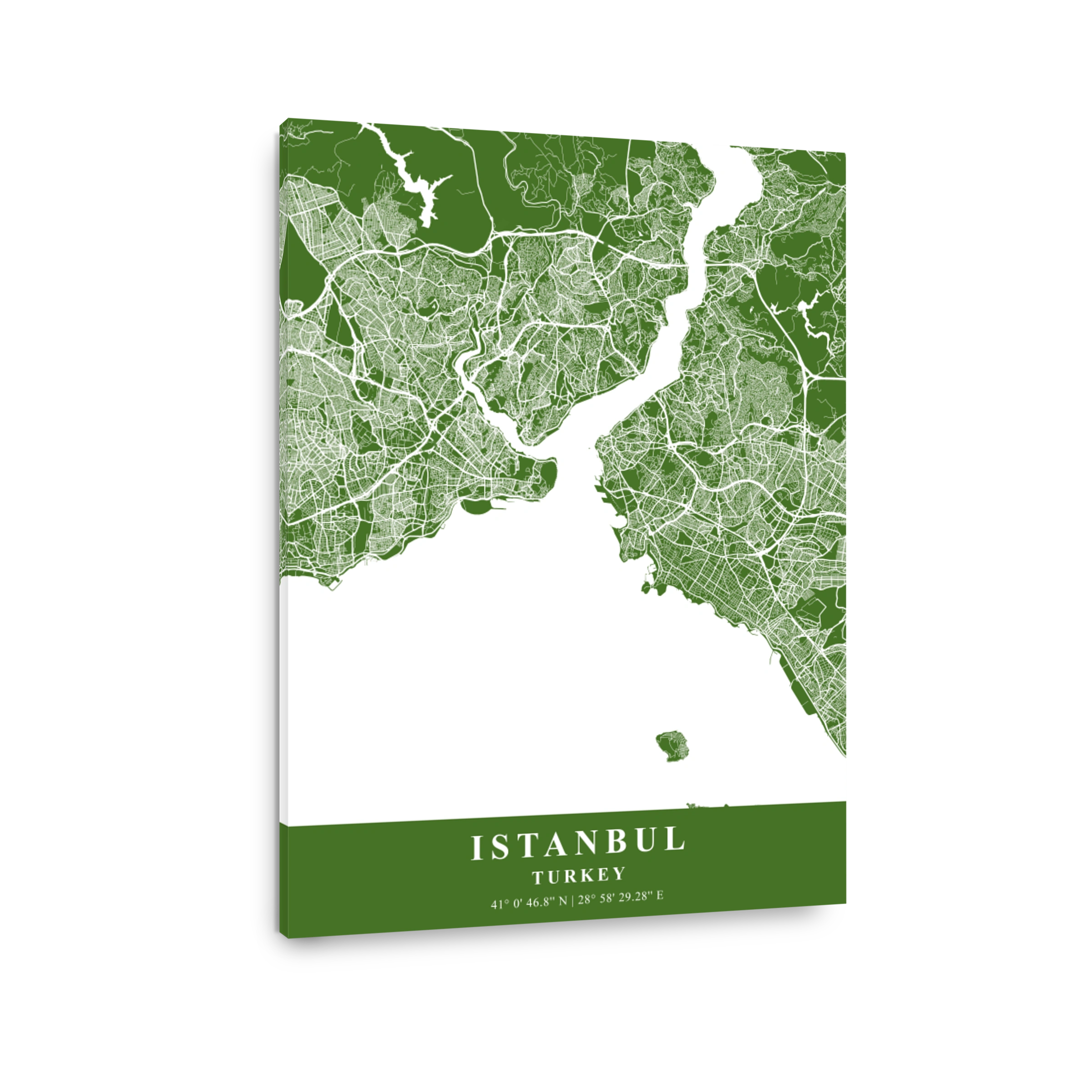 Istanbul   Turkey Moss Plane Map