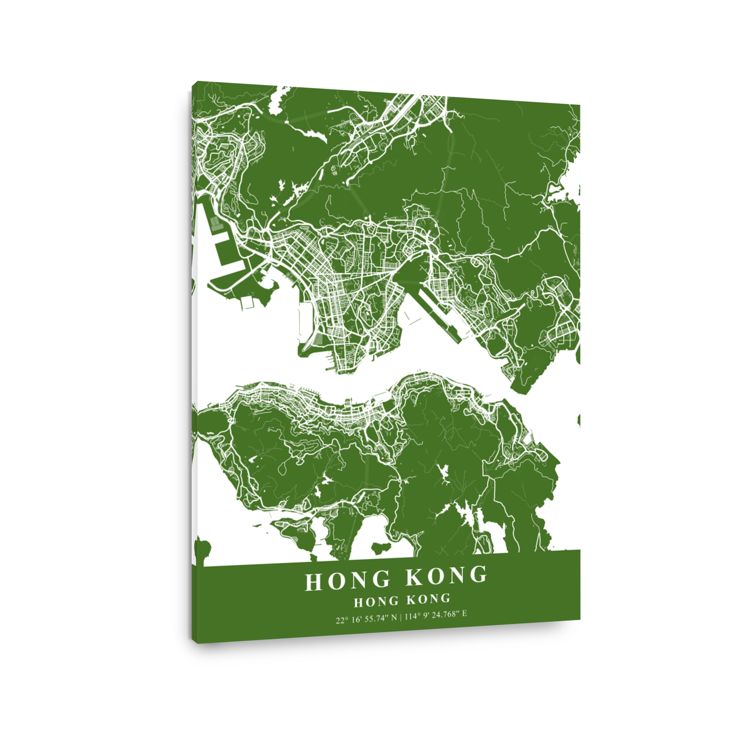 Hong Kong   Hong Kong Moss Plane Map