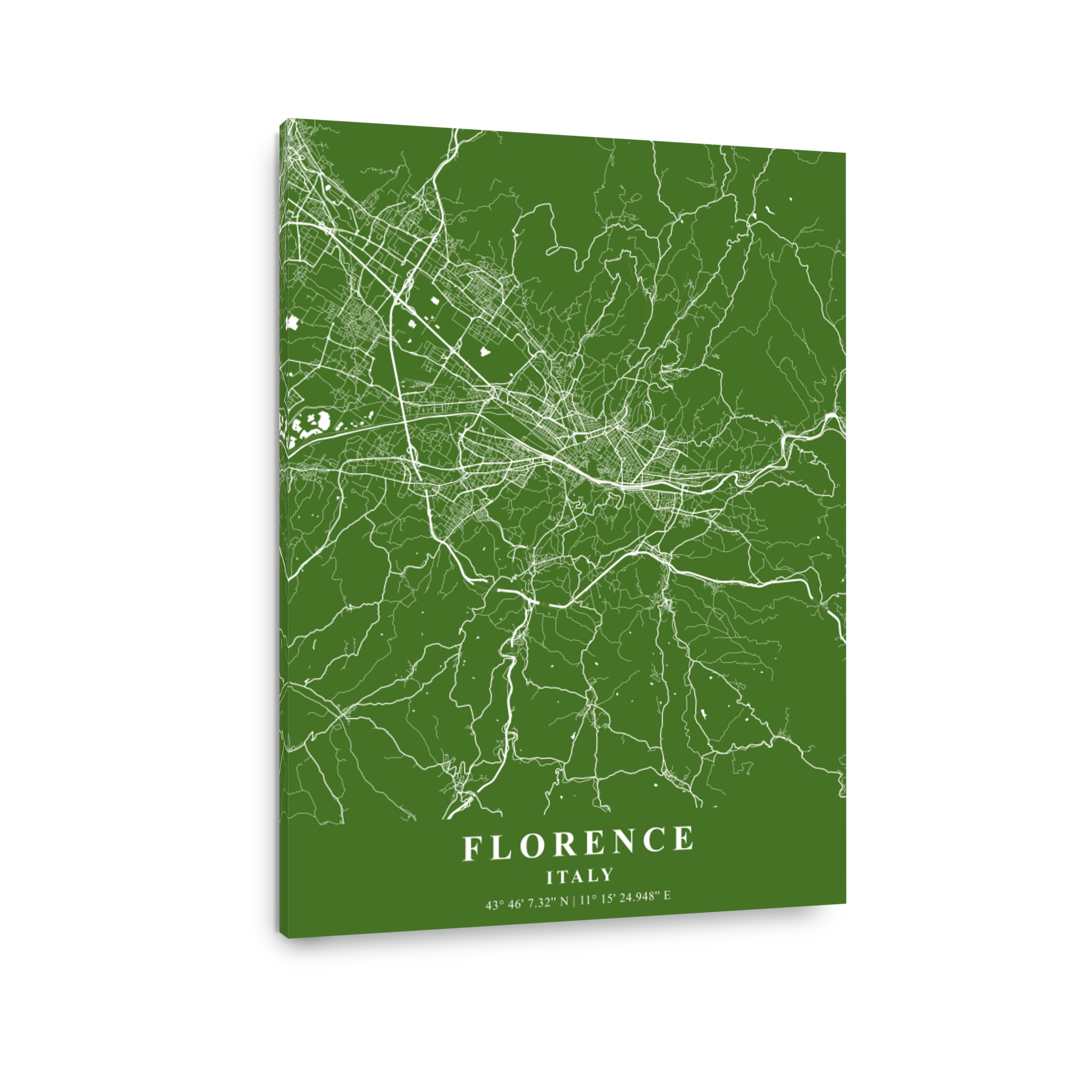 Florence   Italy Moss Plane Map