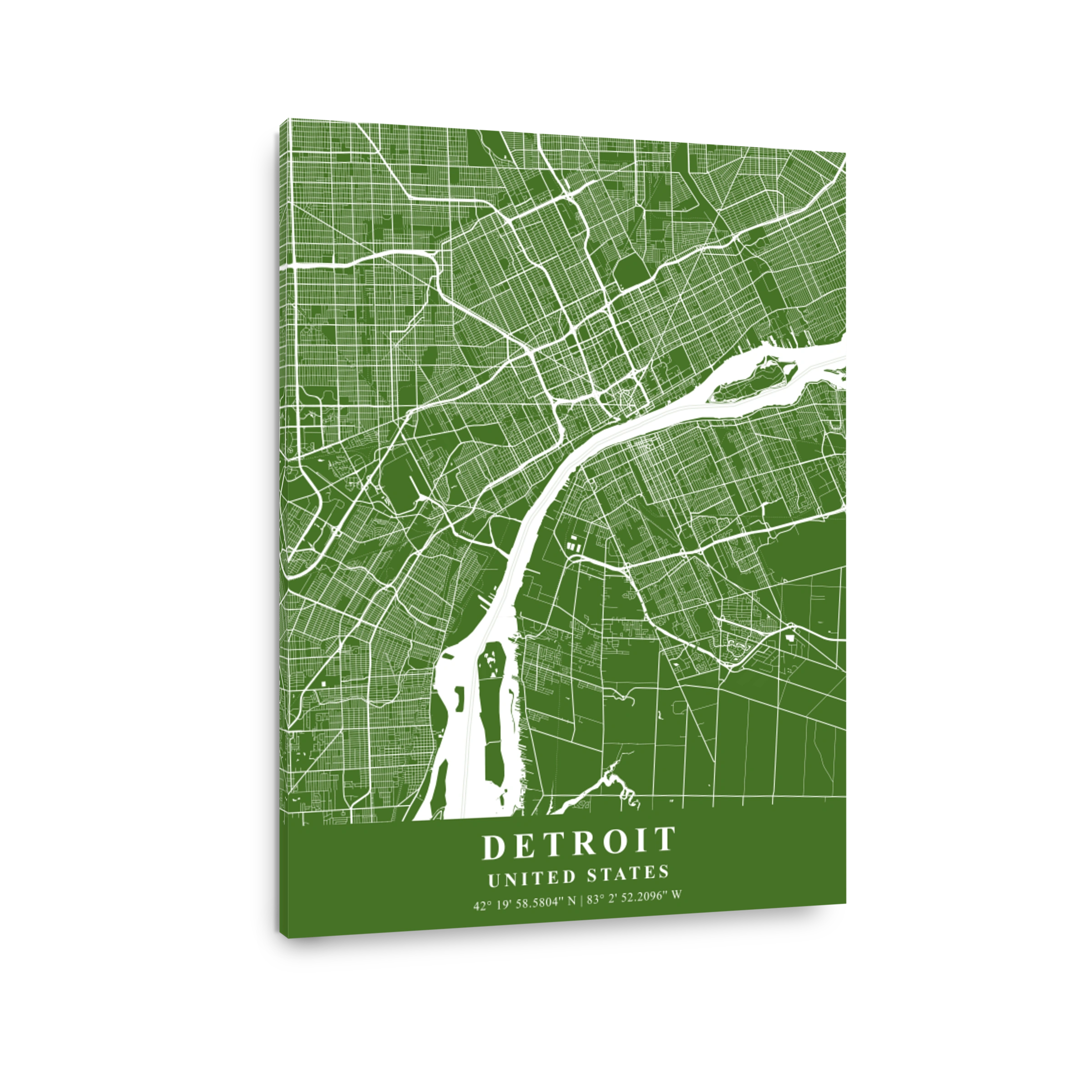 Detroit   United States Moss Plane Map