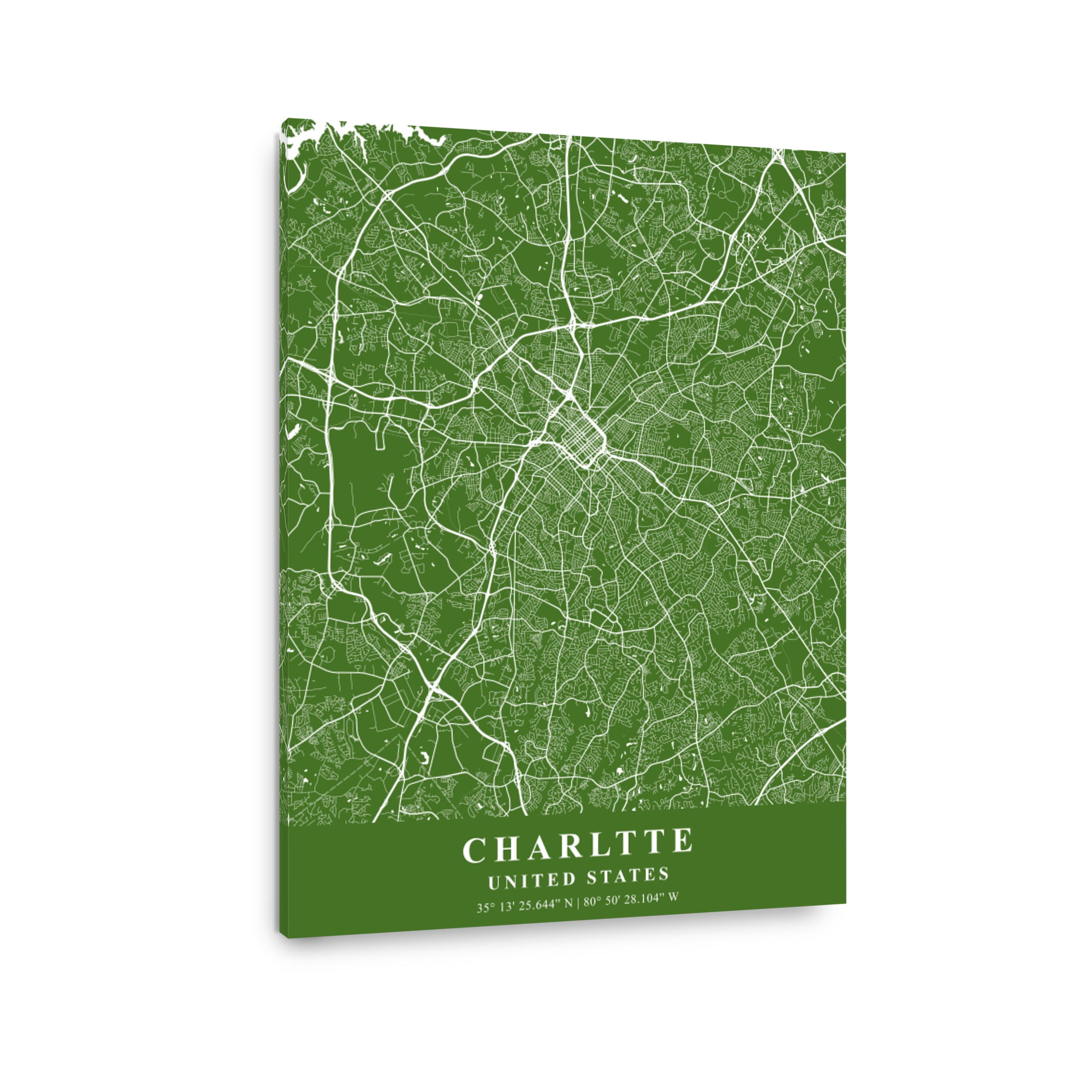 Charlotte   United States Moss Plane Map