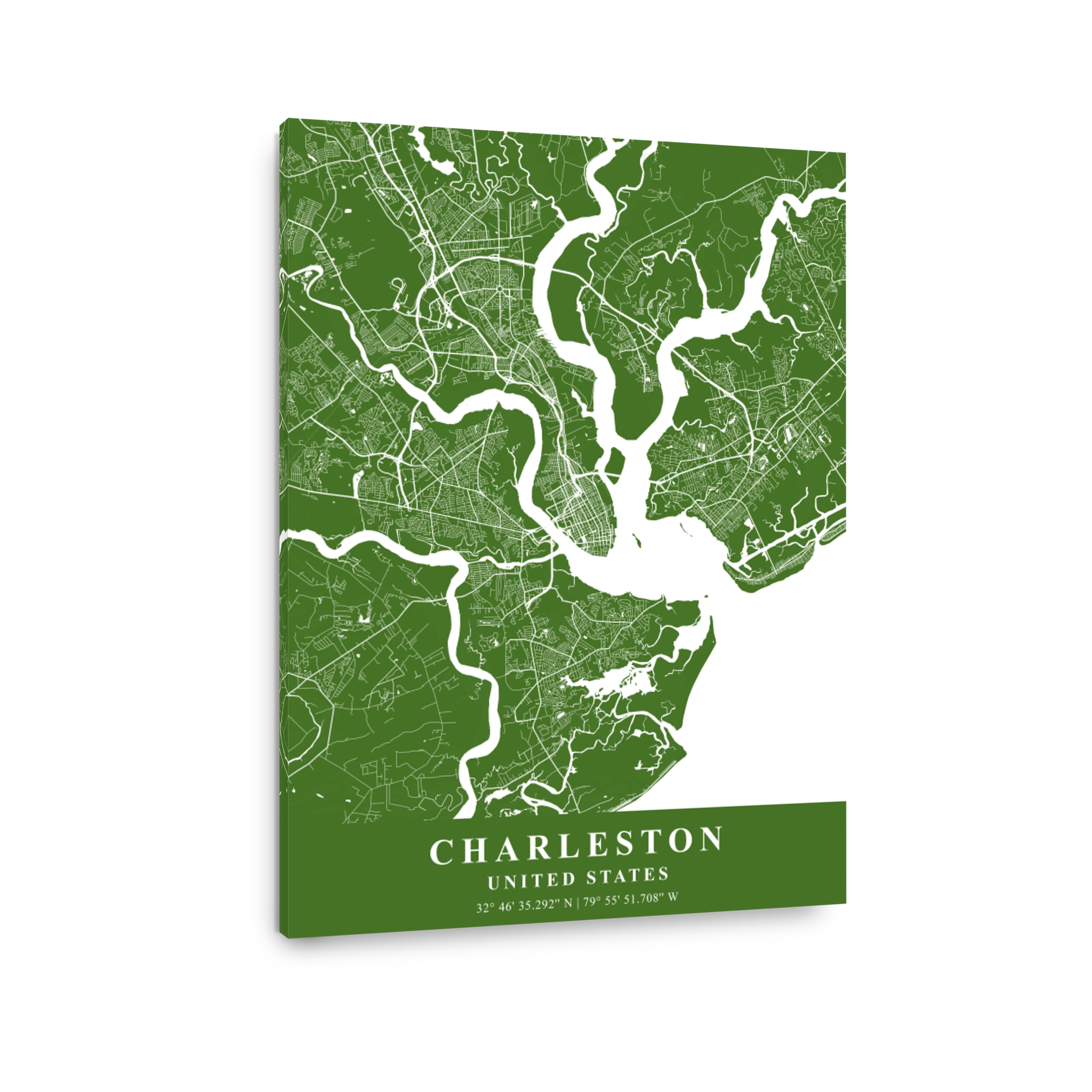 Charleston   United States Moss Plane Map