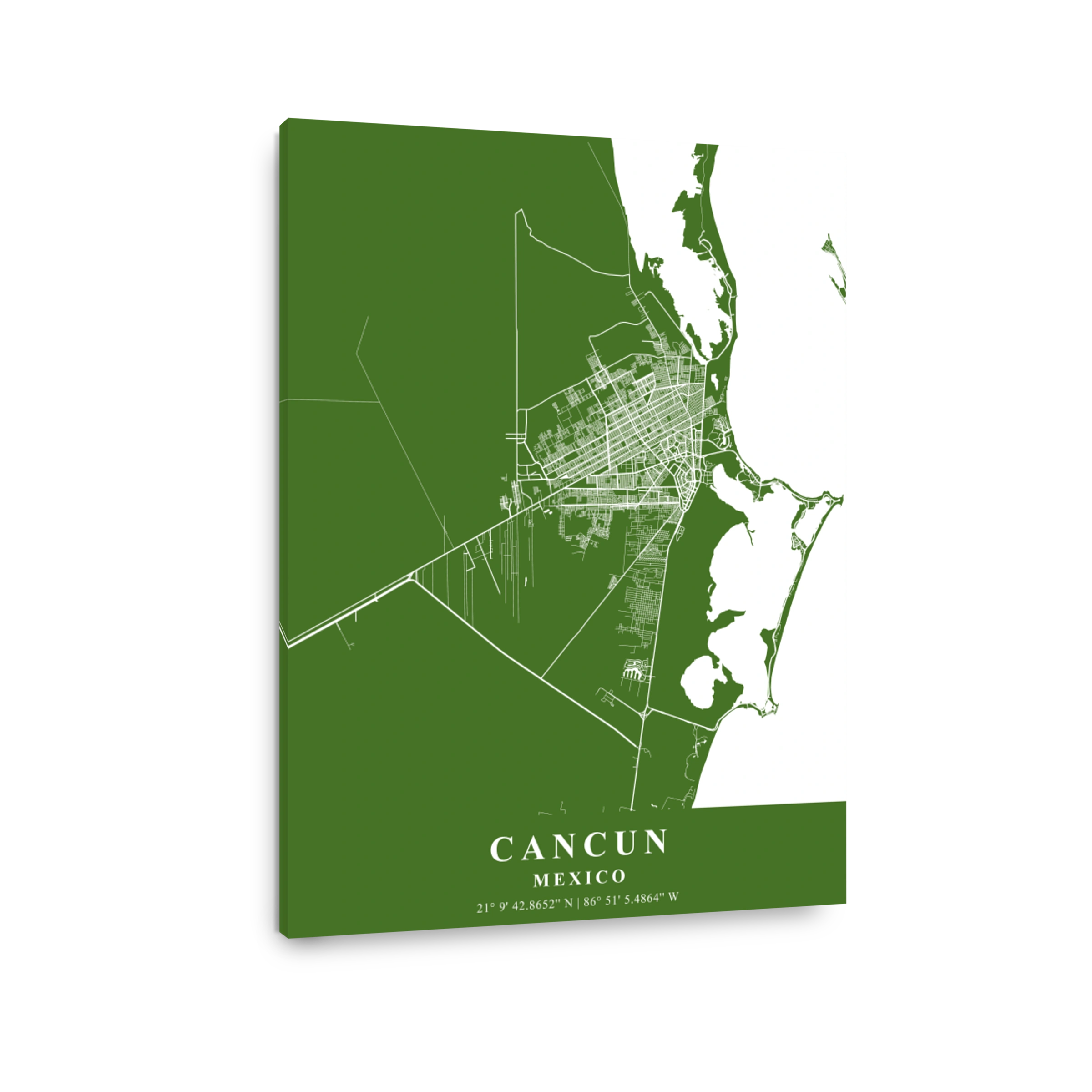 Cancun   Mexico Moss Plane Map