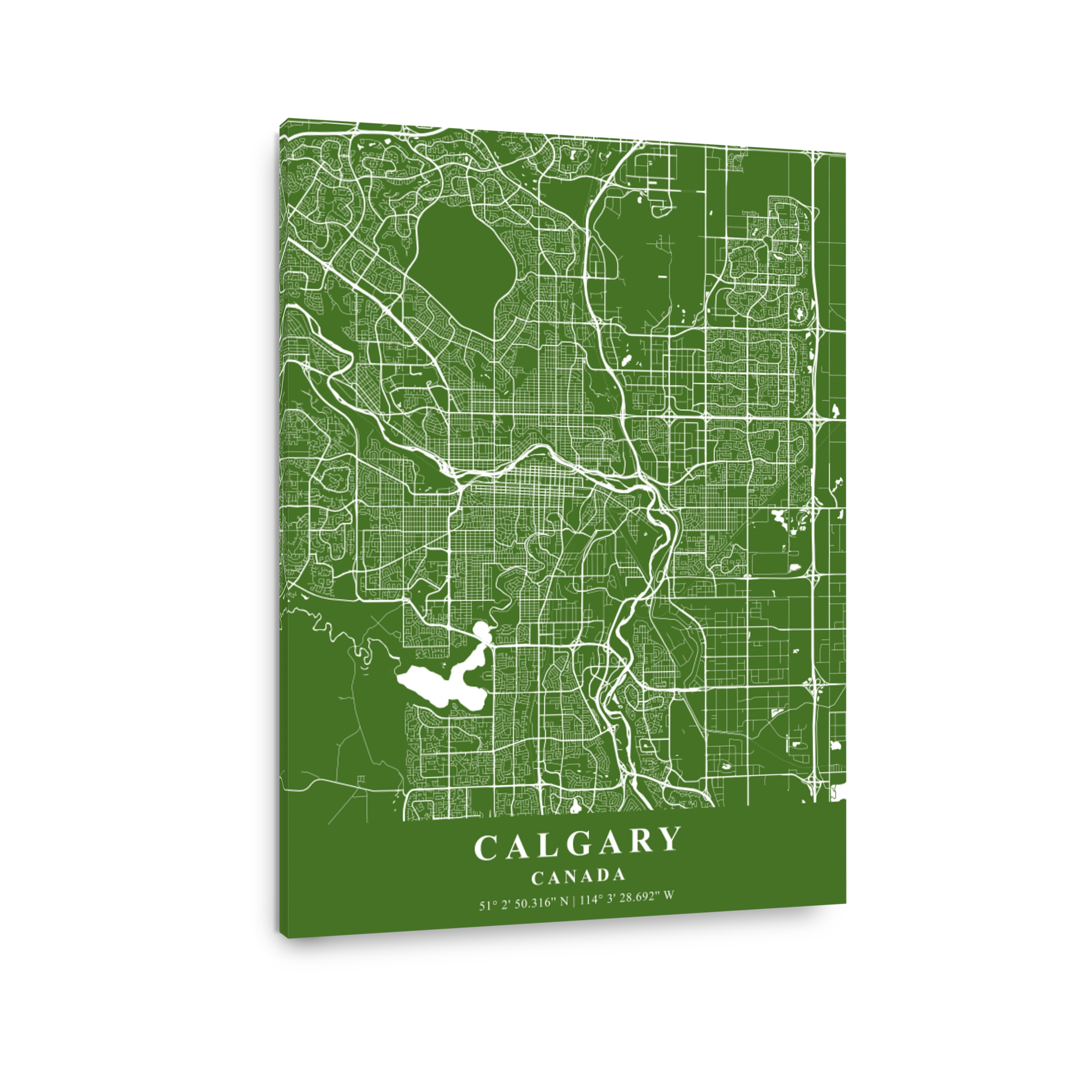 Calgary   Canada Moss Plane Map