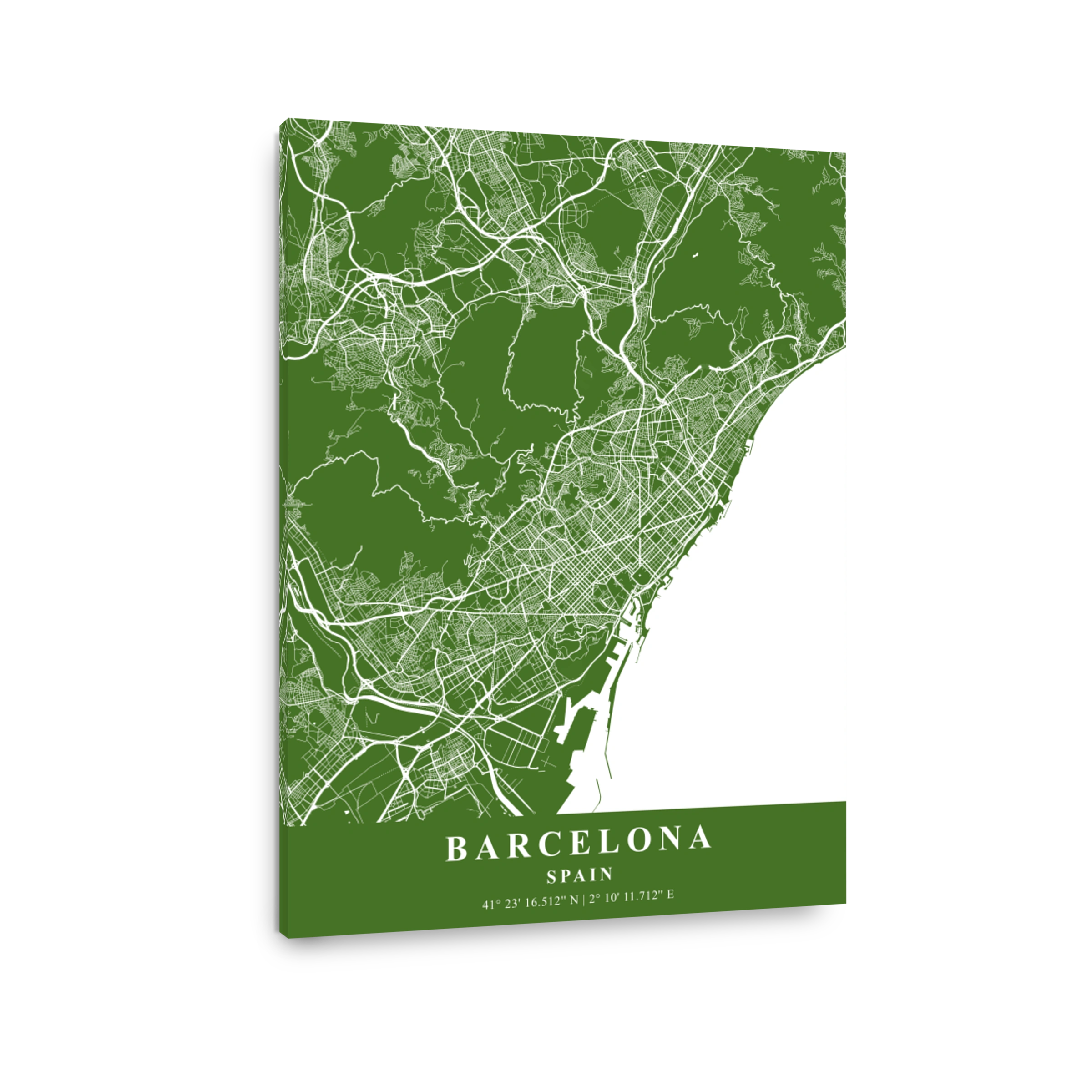 Barcelona   Spain Moss Plane Map