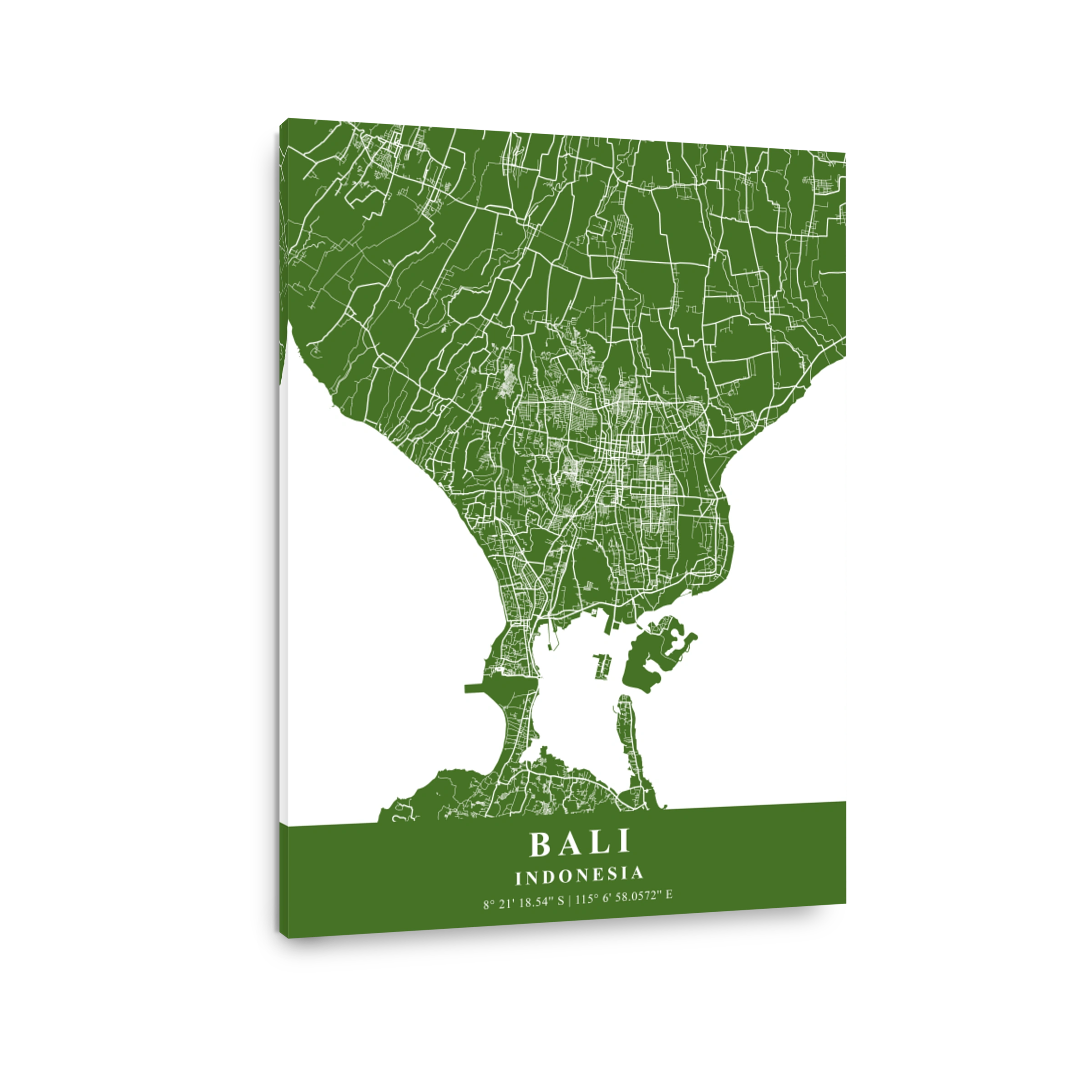Bali   Indonesia Moss Plane Map