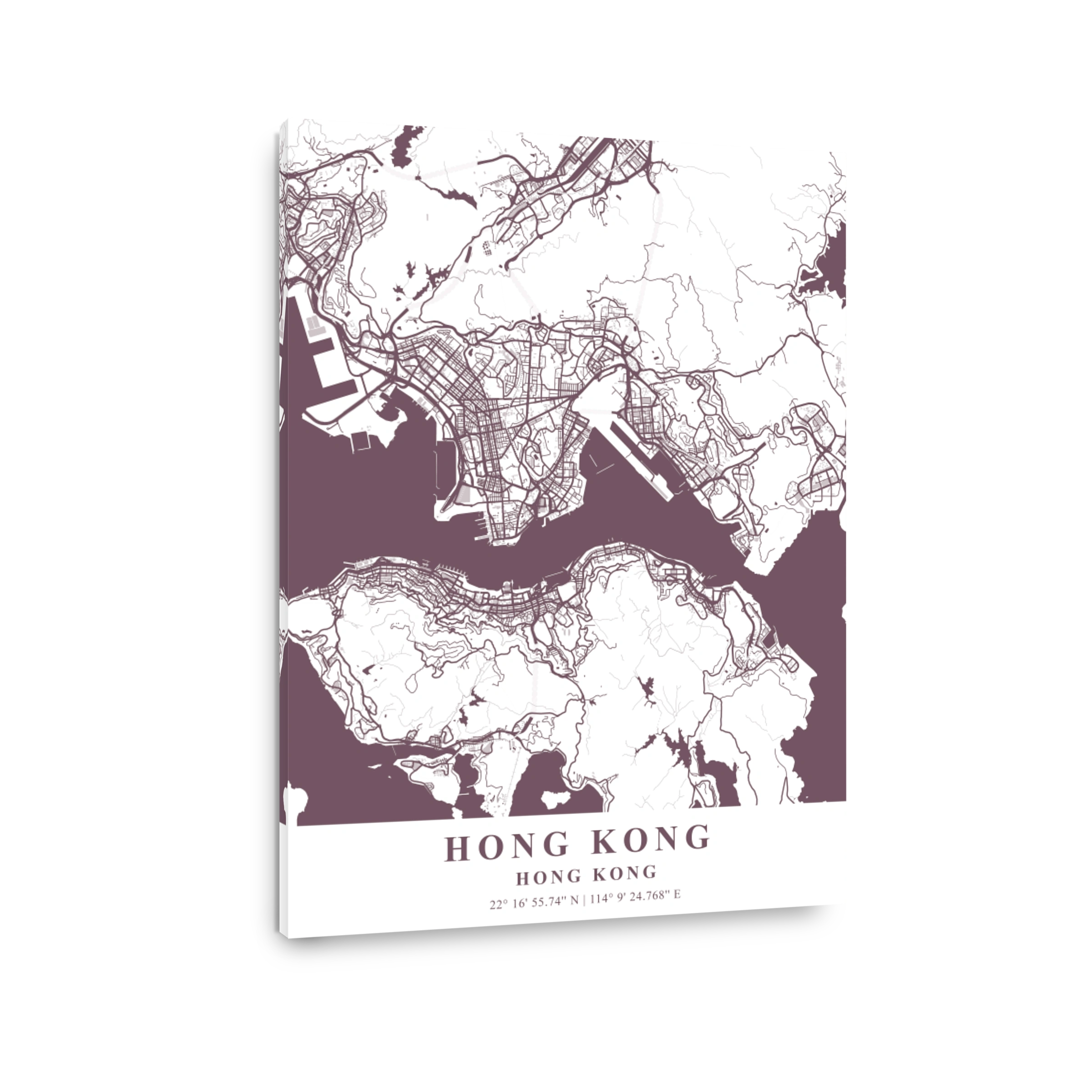 Hong Kong   Hong Kong Orchid Plane Map
