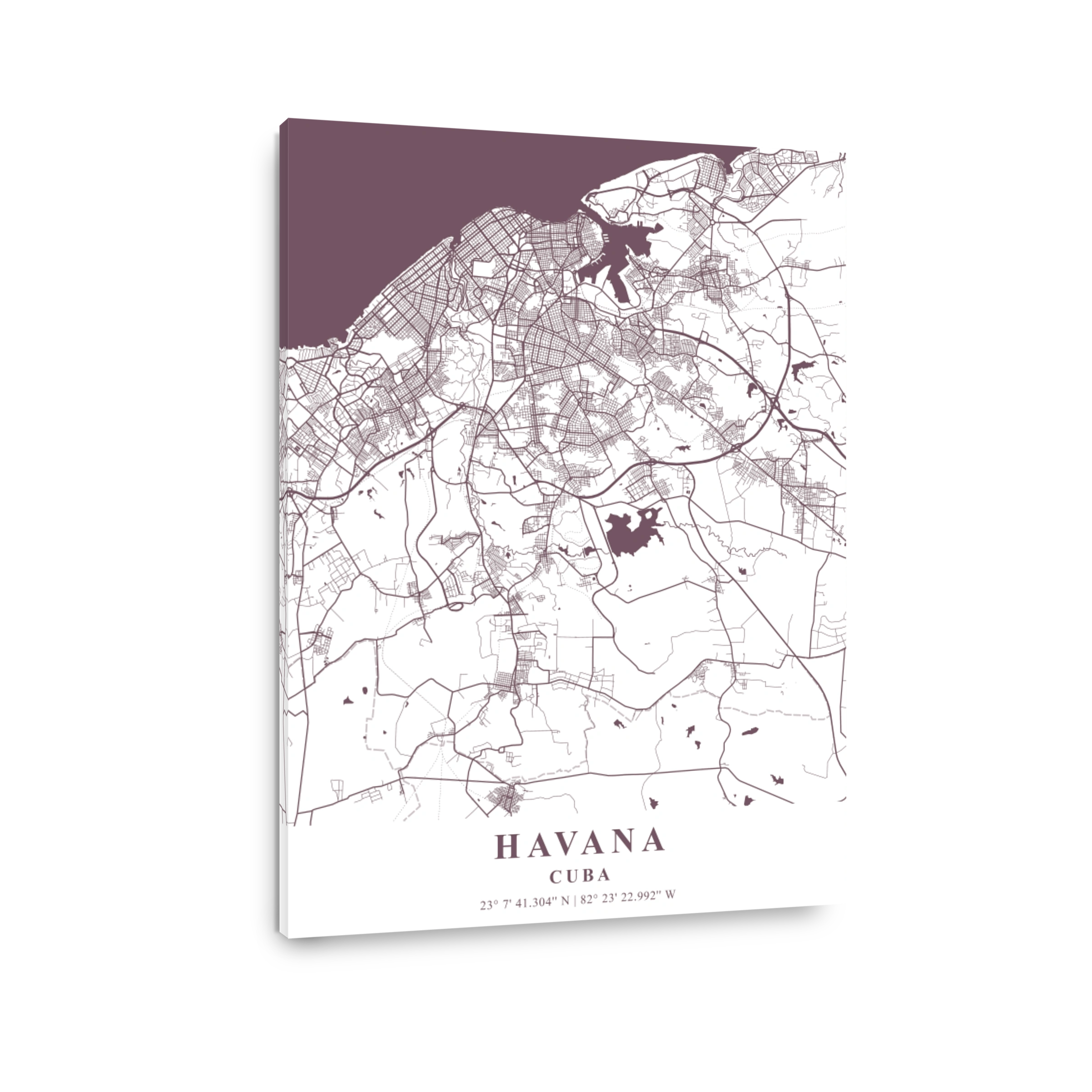 Havana   Cuba Orchid Plane Map