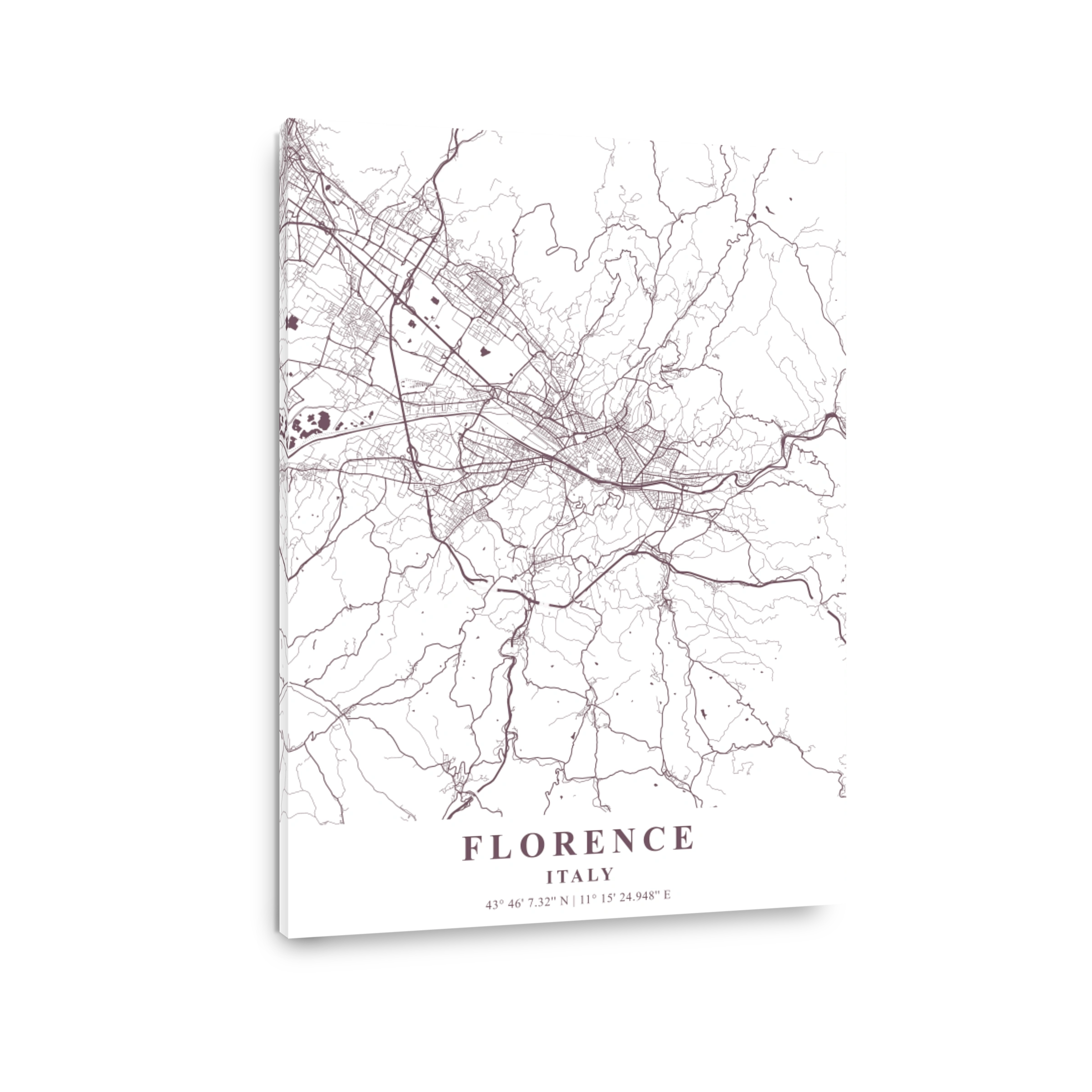 Florence   Italy Orchid Plane Map