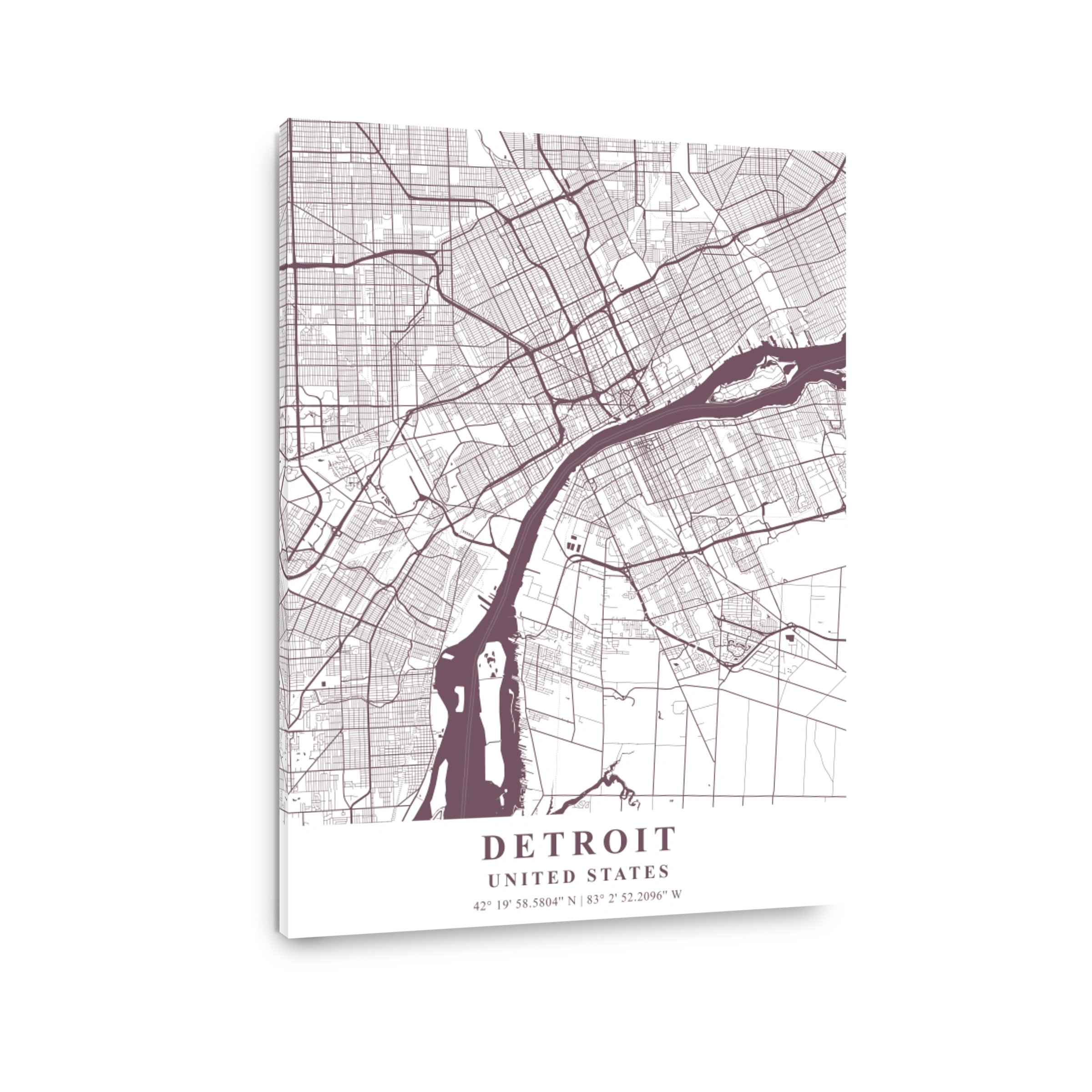 Detroit   United States Orchid Plane Map