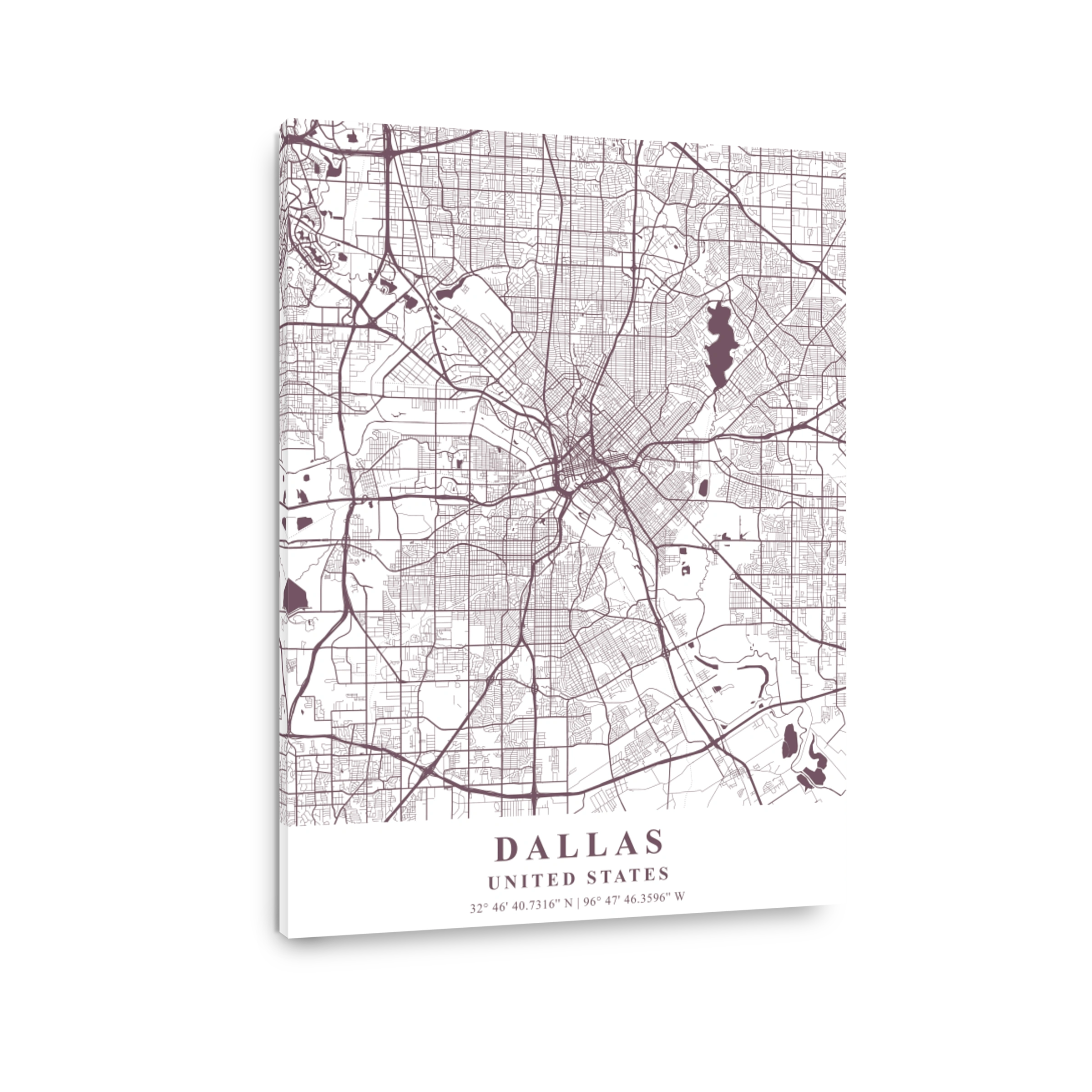 Dallas   United States Orchid Plane Map