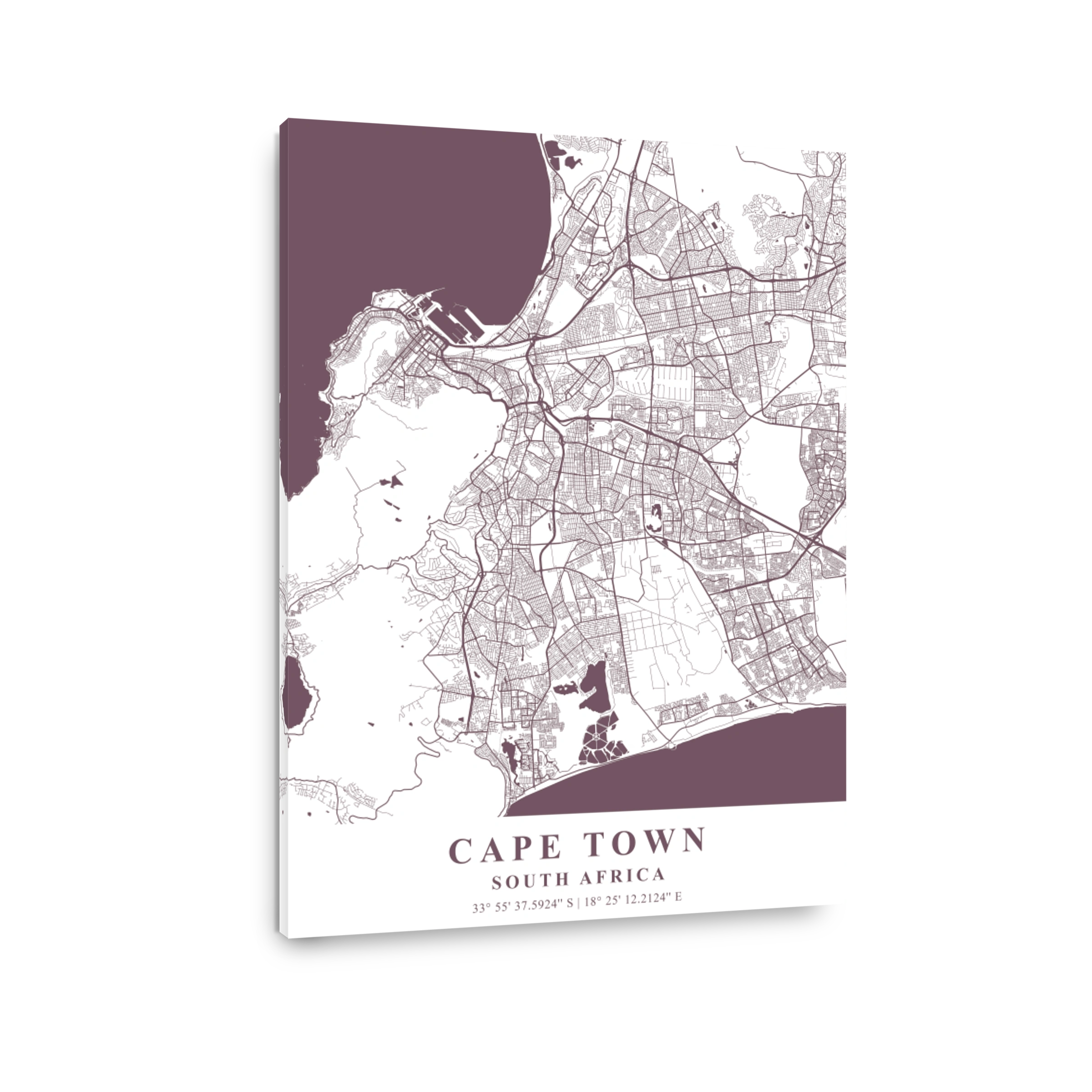 Cape Town   South Africa Orchid Plane Map