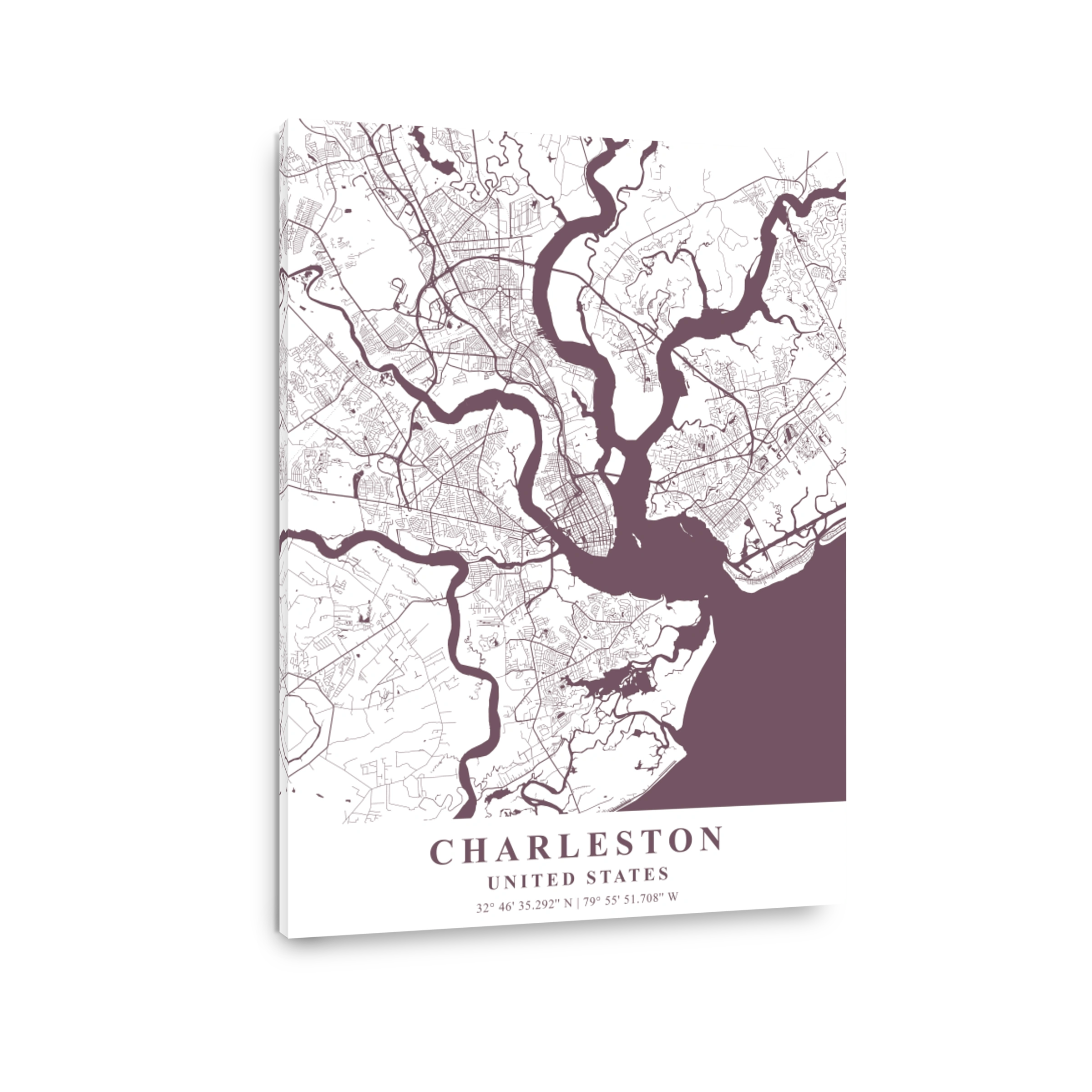Charleston   United States Orchid Plane Map