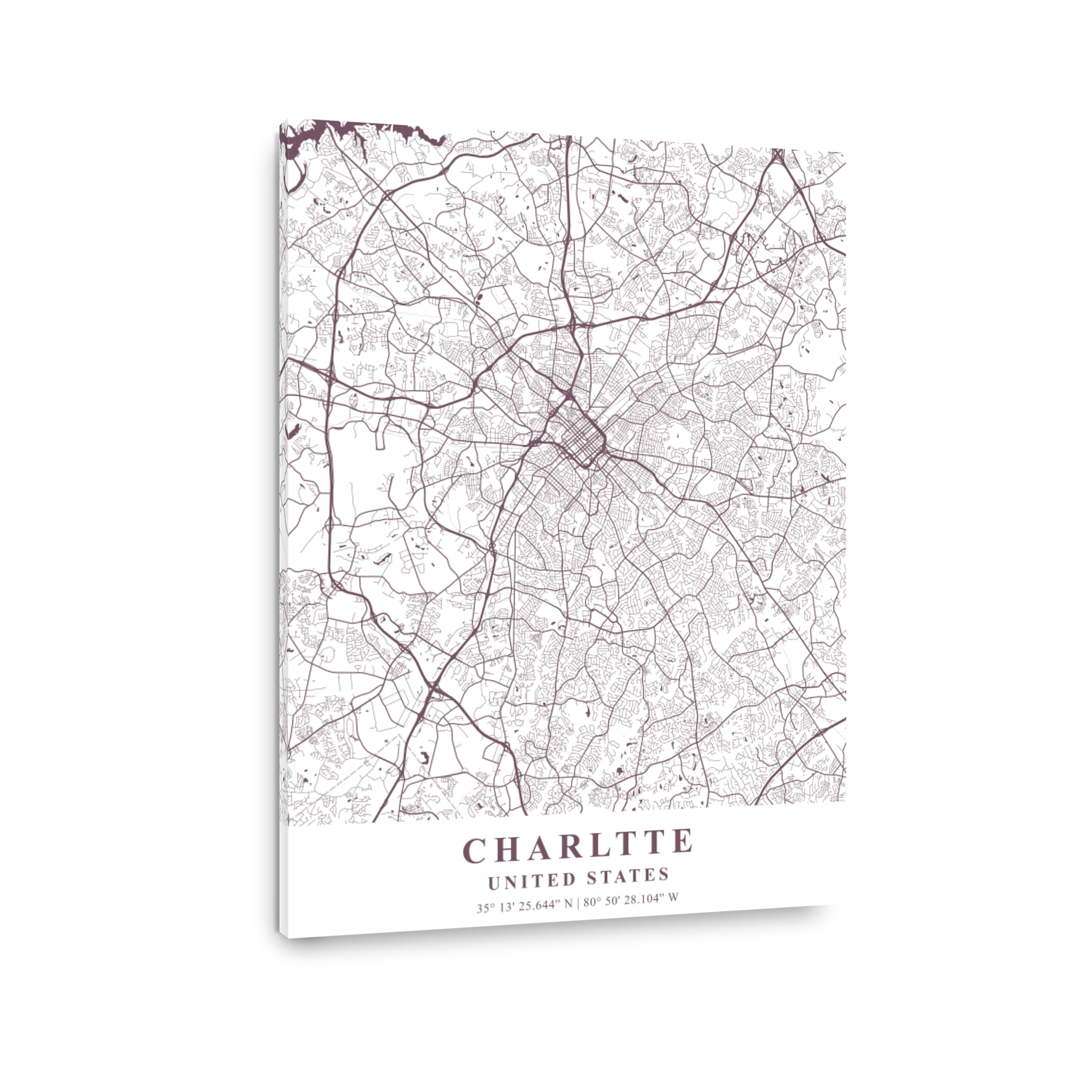 Charlotte   United States Orchid Plane Map