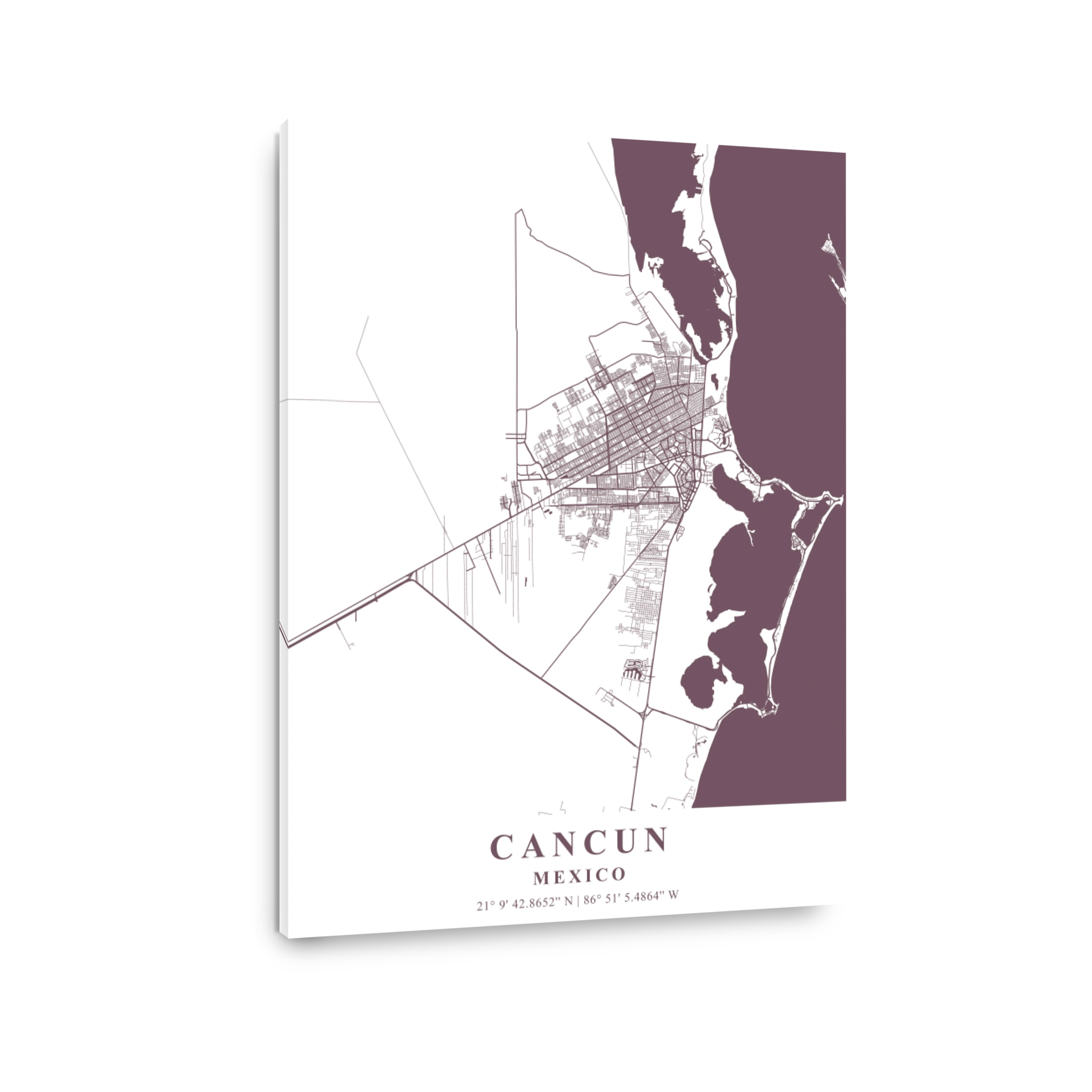 Cancun   Mexico Orchid Plane Map