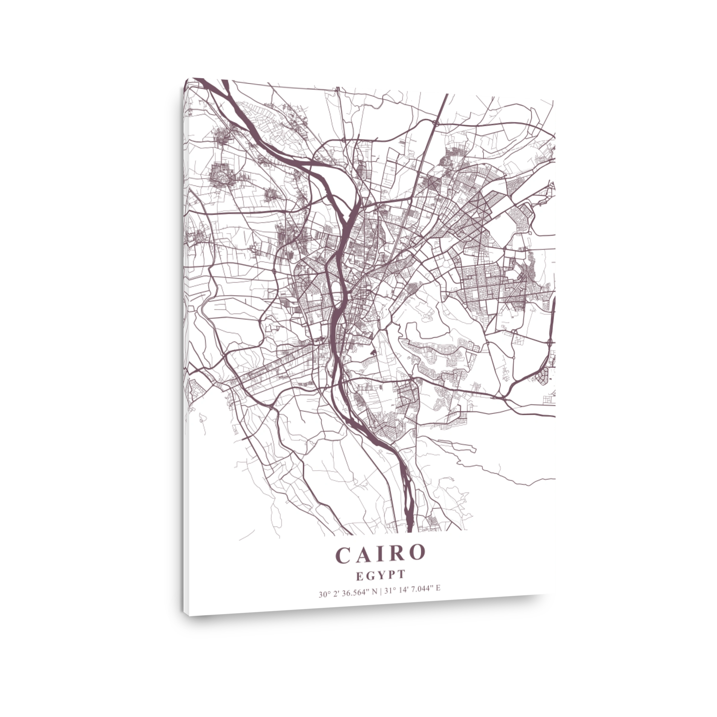 Cairo   Egypt Orchid Plane Map