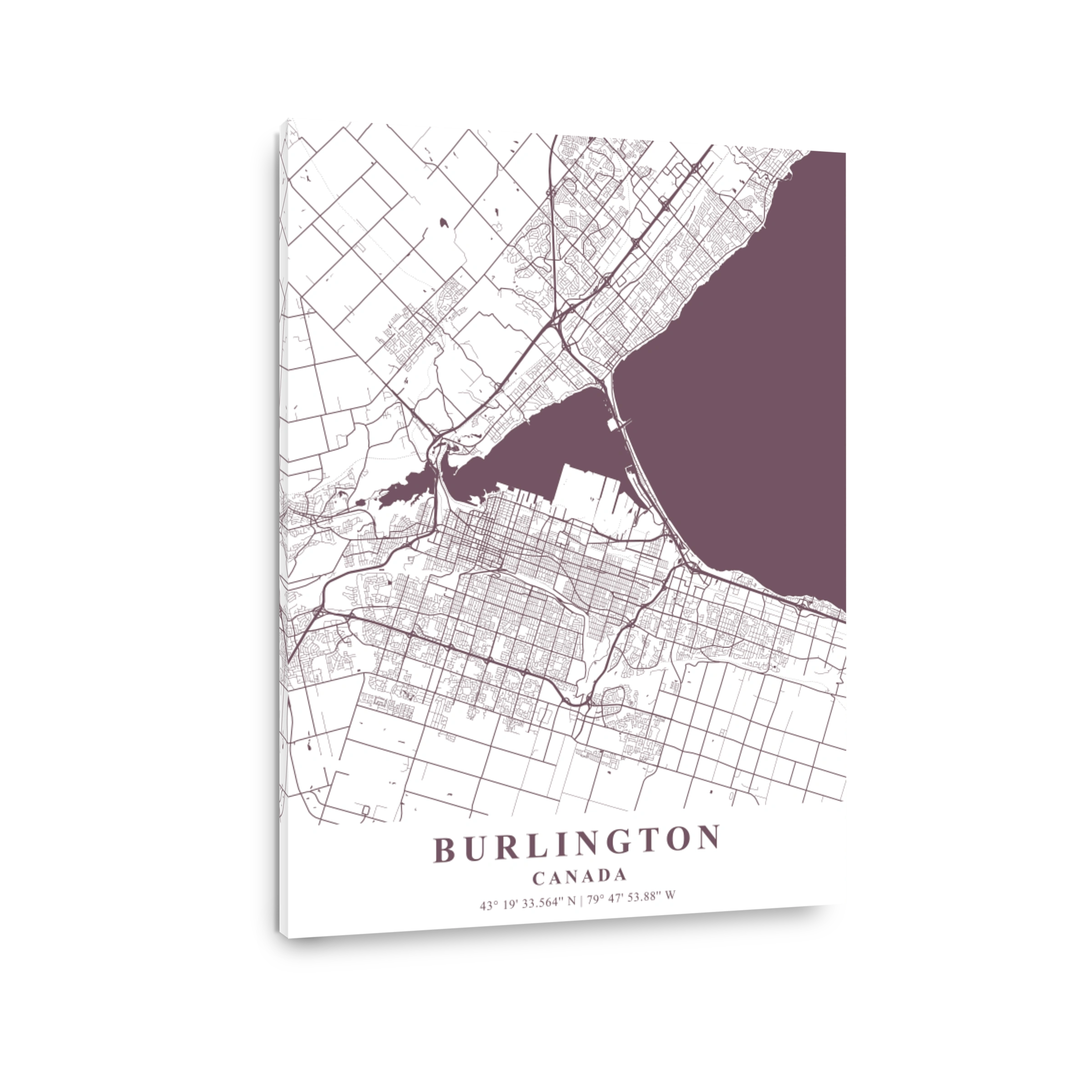 Burlington   Canada Orchid Plane Map