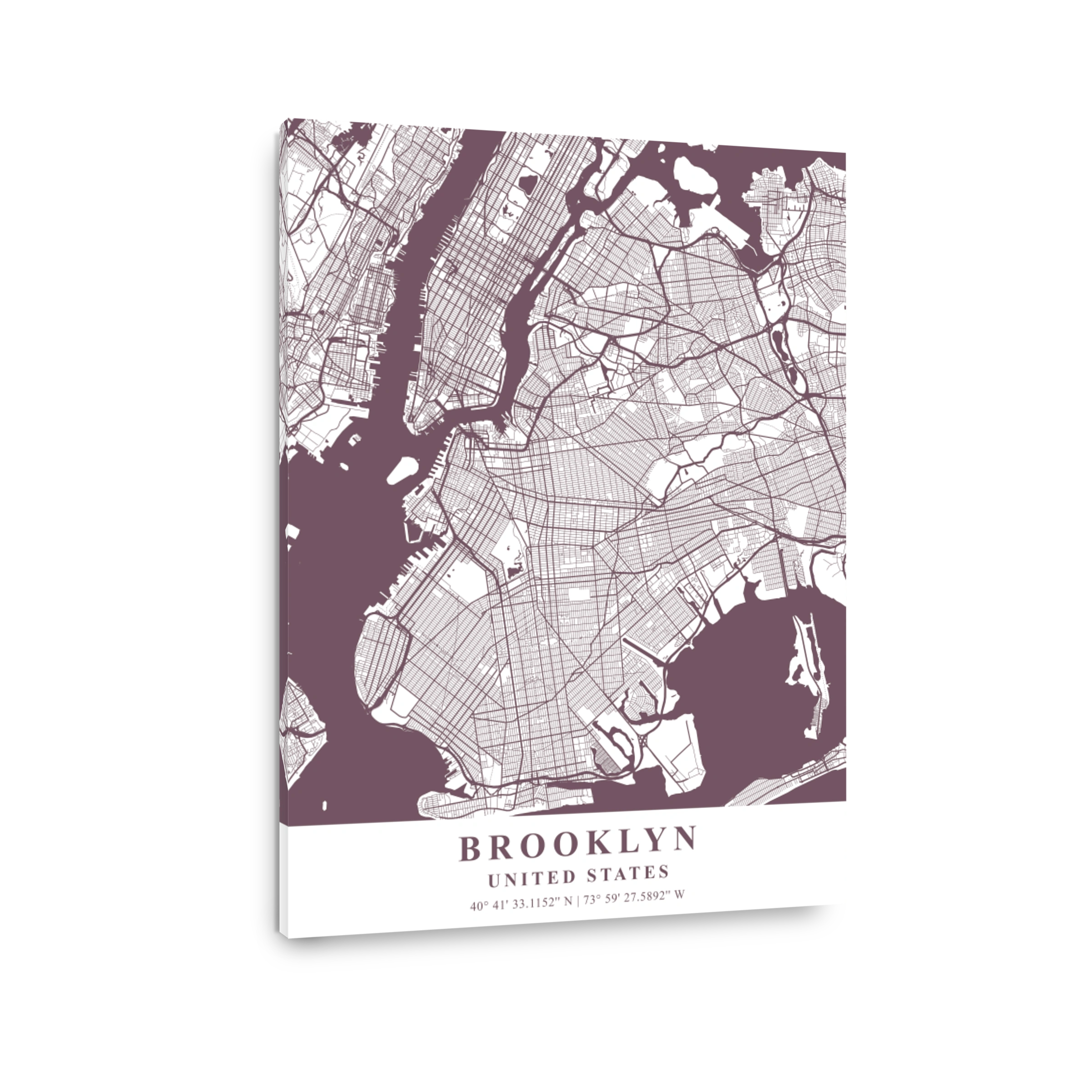 Brooklyn   United States Orchid Plane Map
