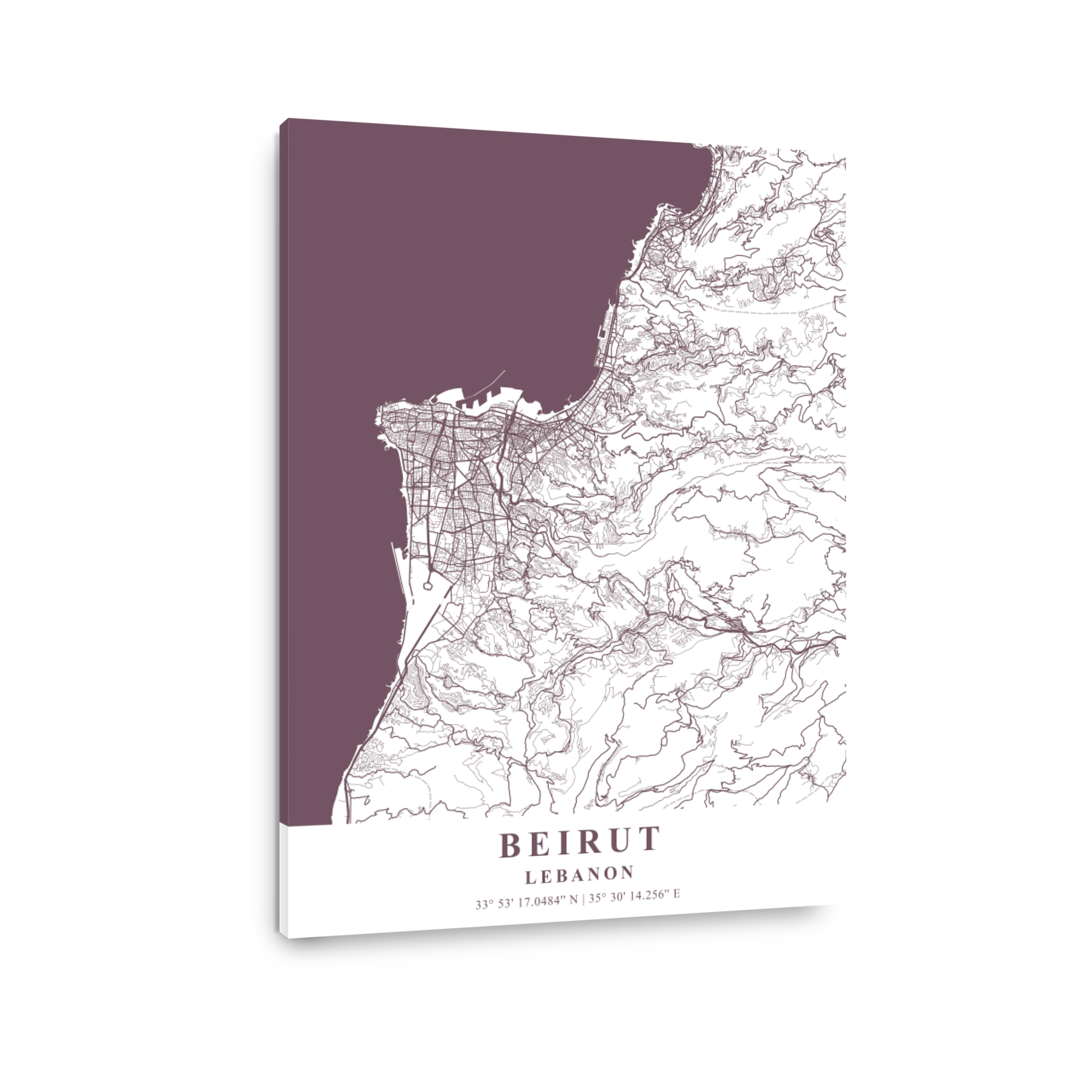 Beirut   Lebanon Orchid Plane Map
