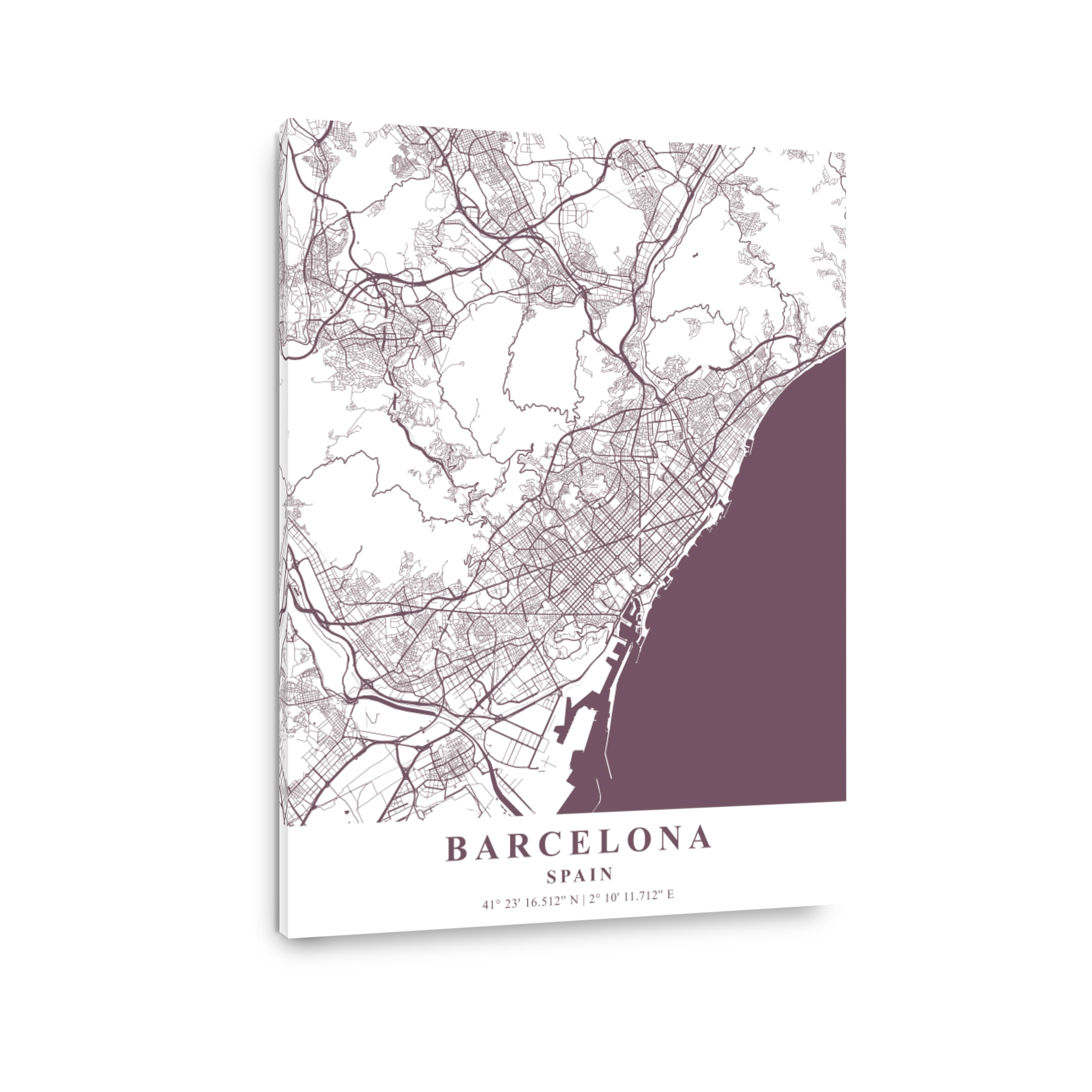 Barcelona   Spain Orchid Plane Map