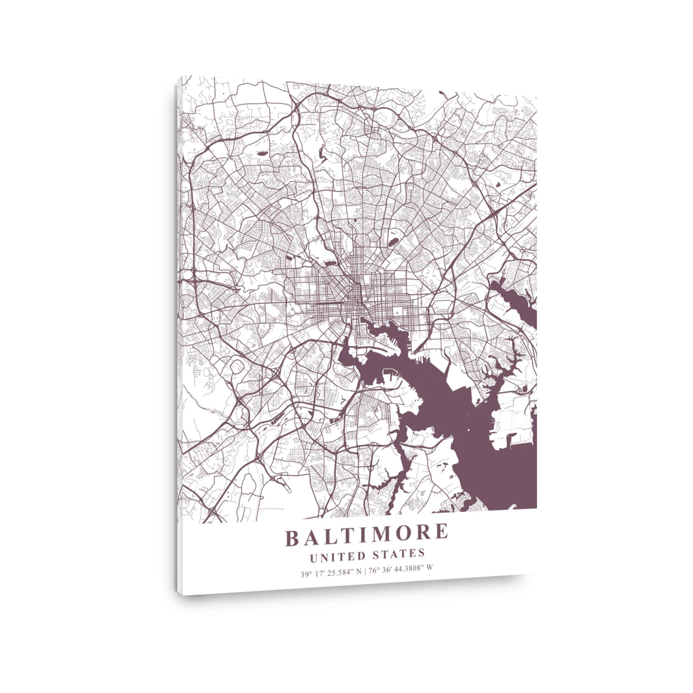 Baltimore   United States Orchid Plane Map