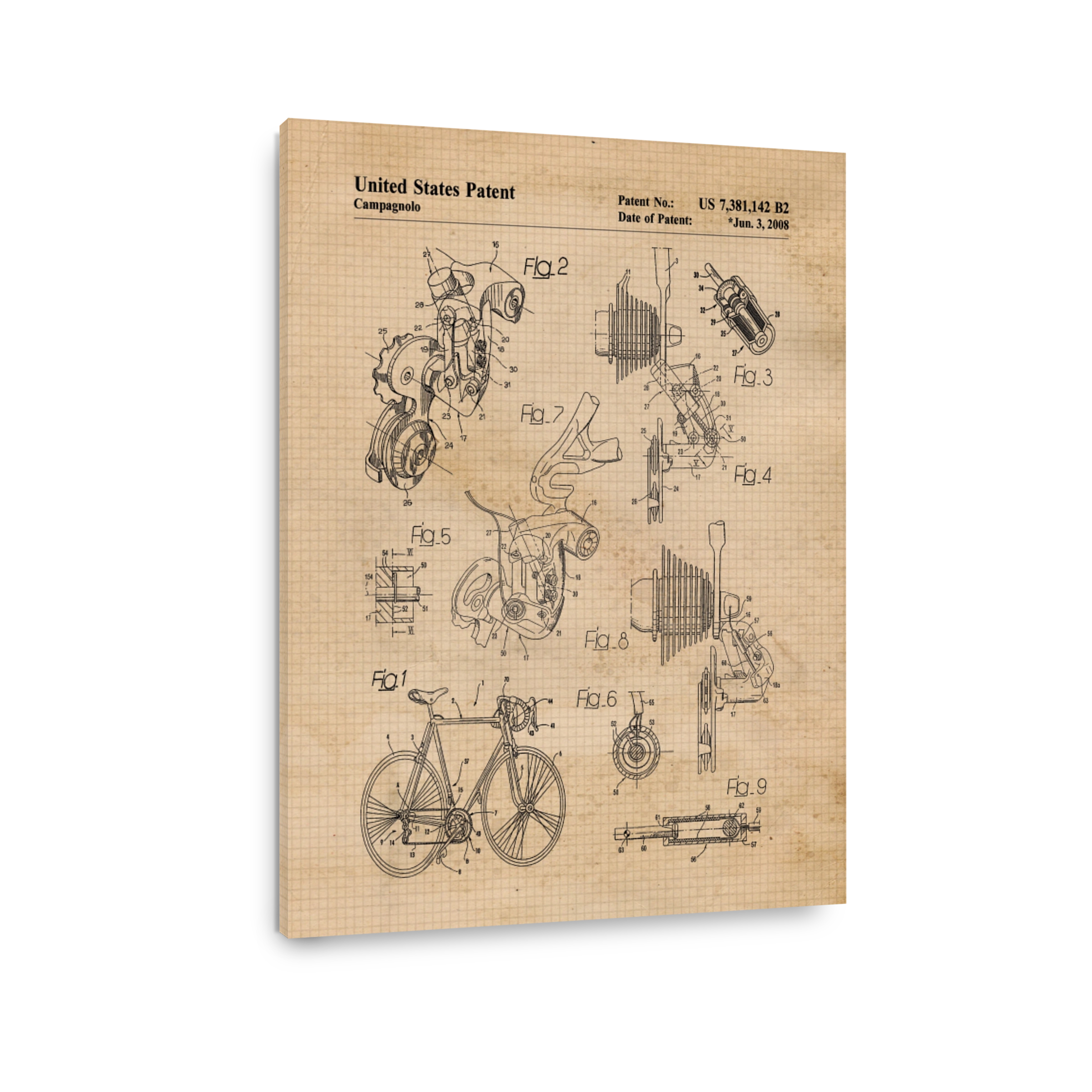 Campagnolo Bicycle Derailleur Patent Art