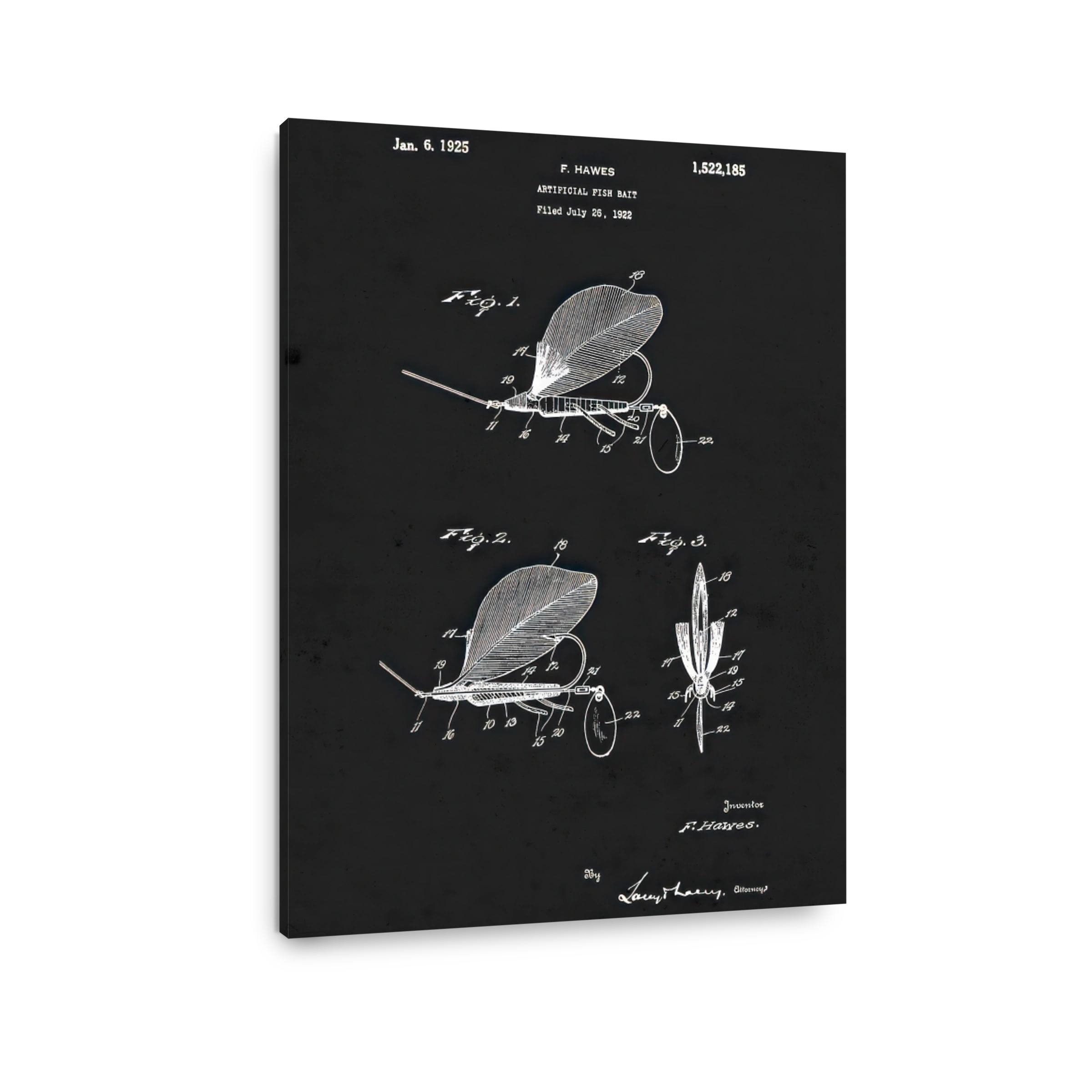 Artificial Fish Bait Patent Blueprint